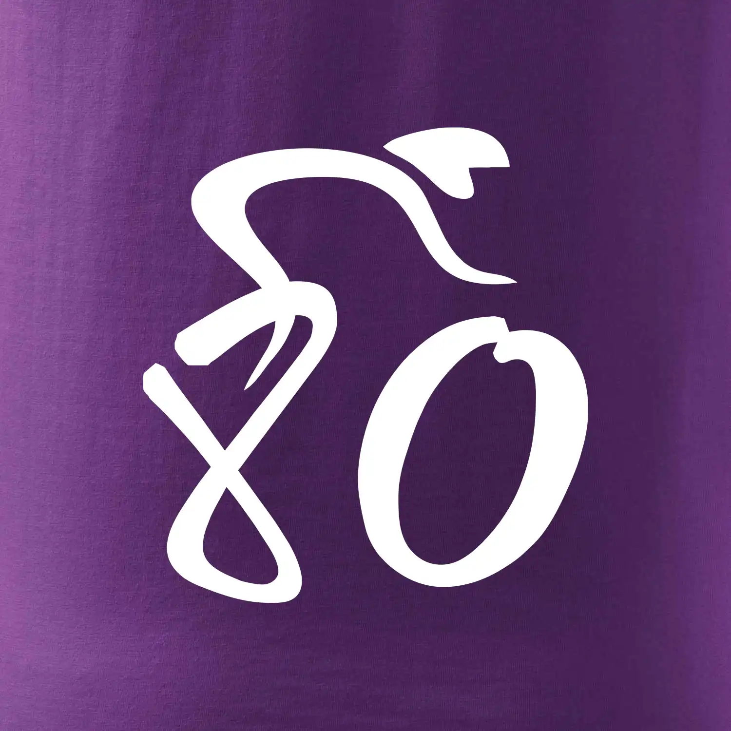 Cyklista slaví osmdesátiny (80)