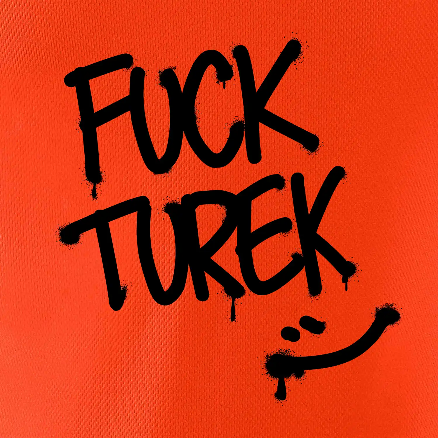 Turek sprejem