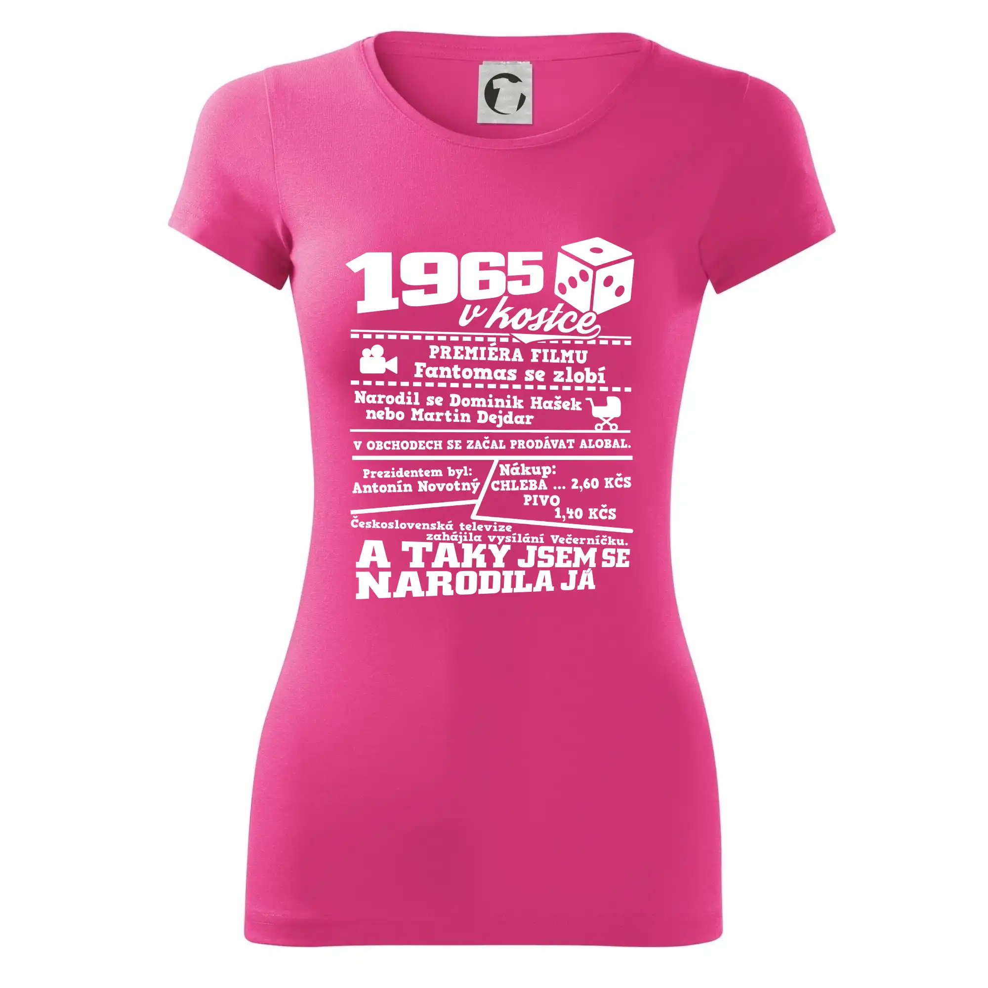 1965 v kostce