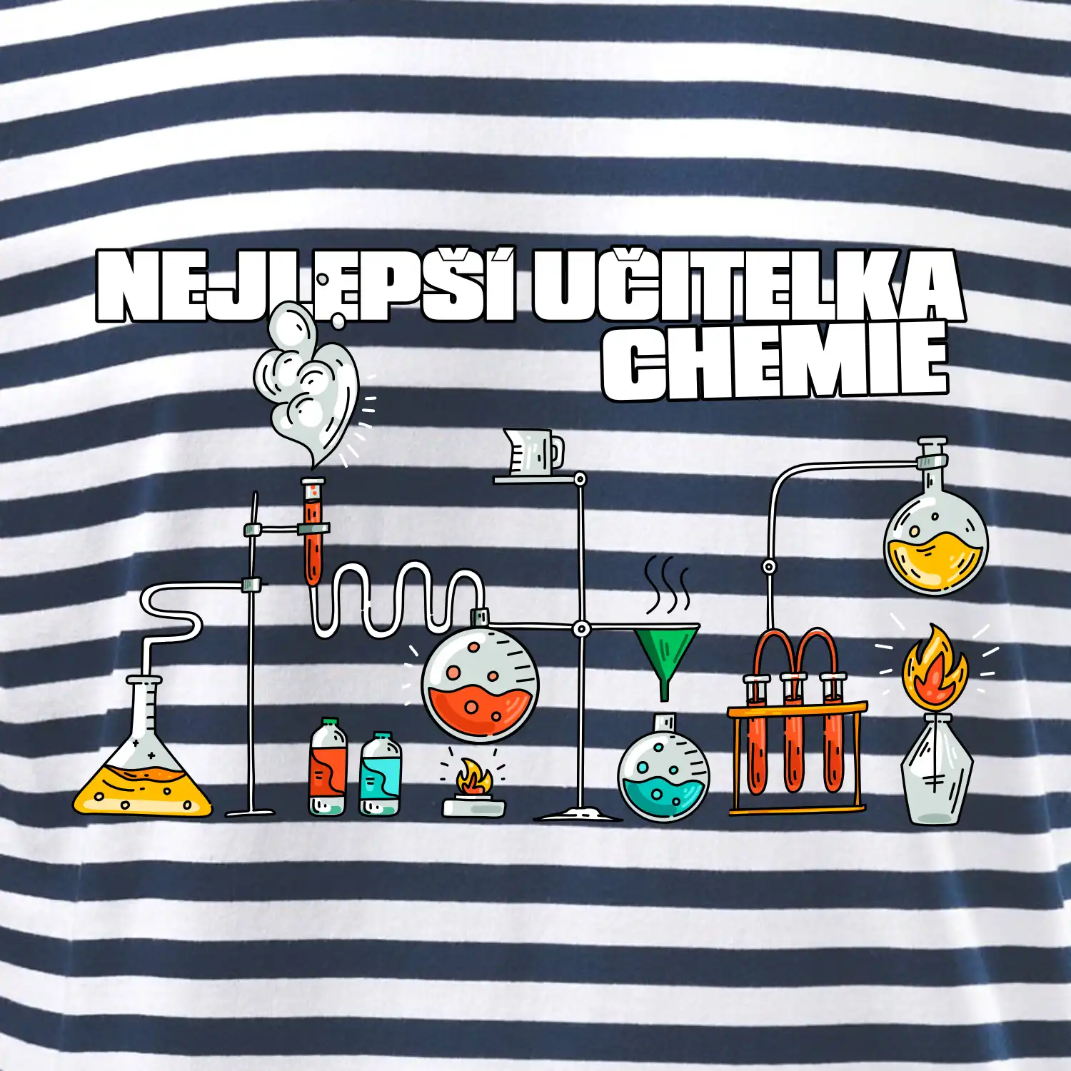 Nejlepší učitelka chemie