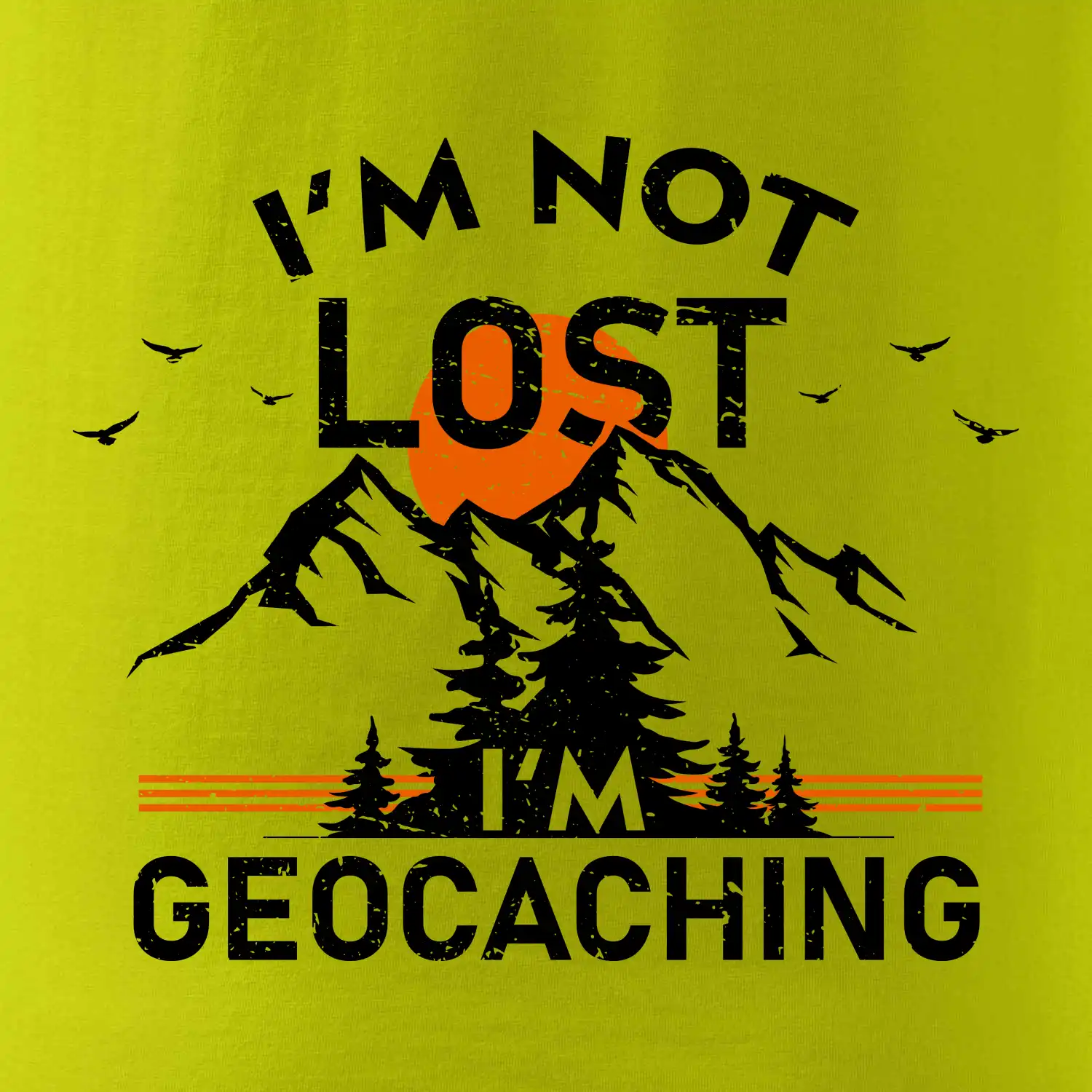 Im not lost - geocaching