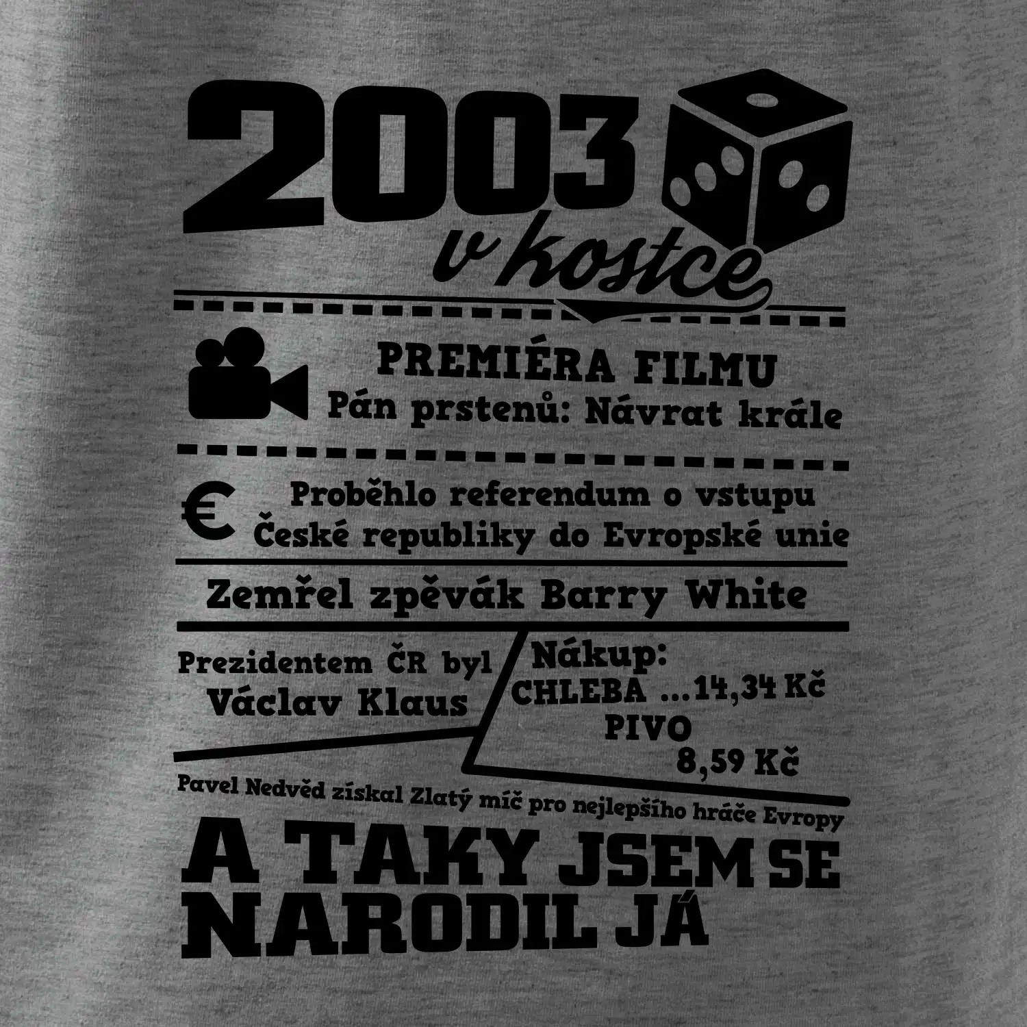 2003 v kostce