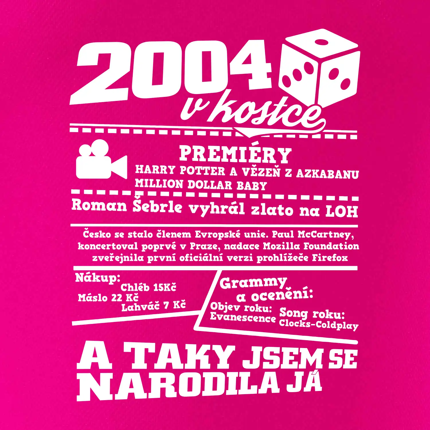 2004 v kostce