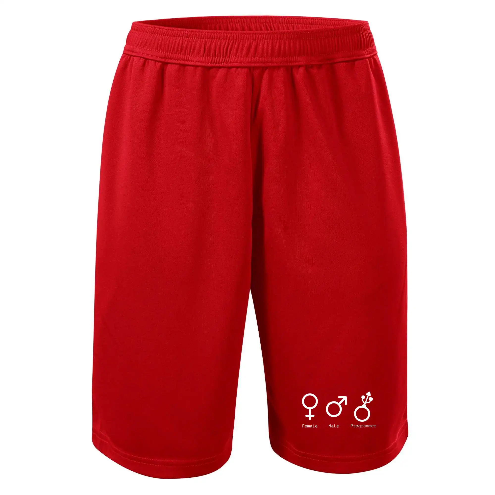 Female male programmer