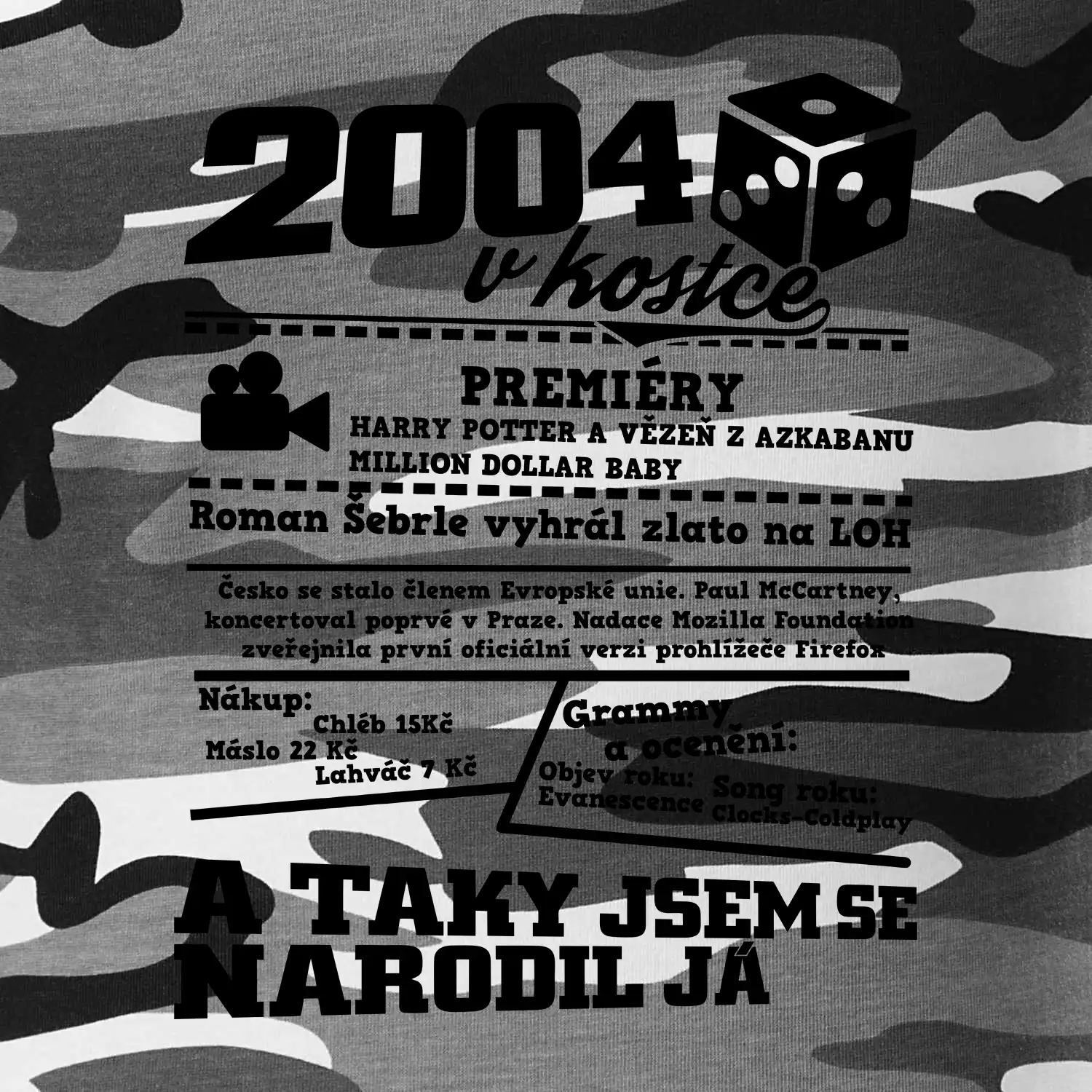 2004 v kostce