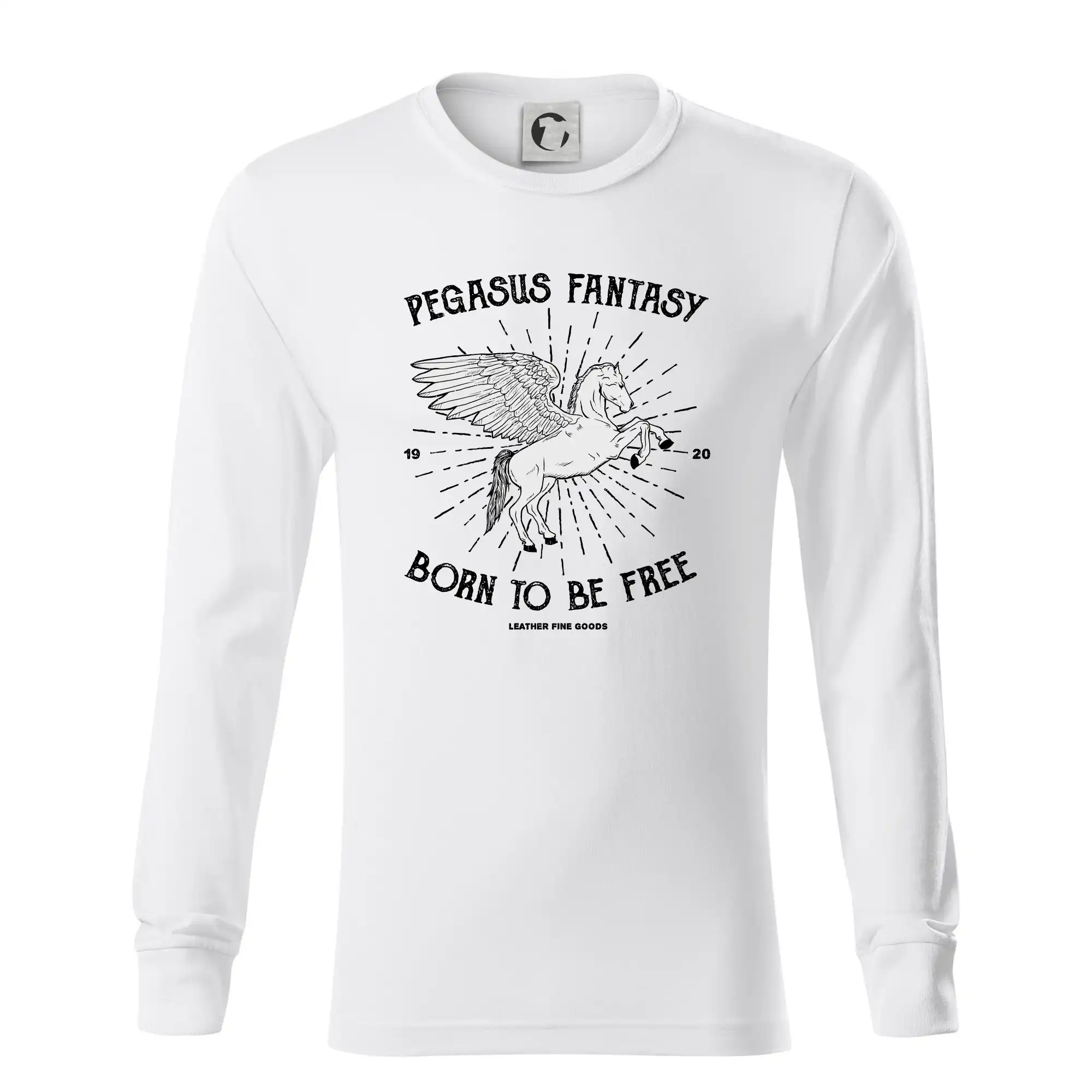 Pegasus fantasy
