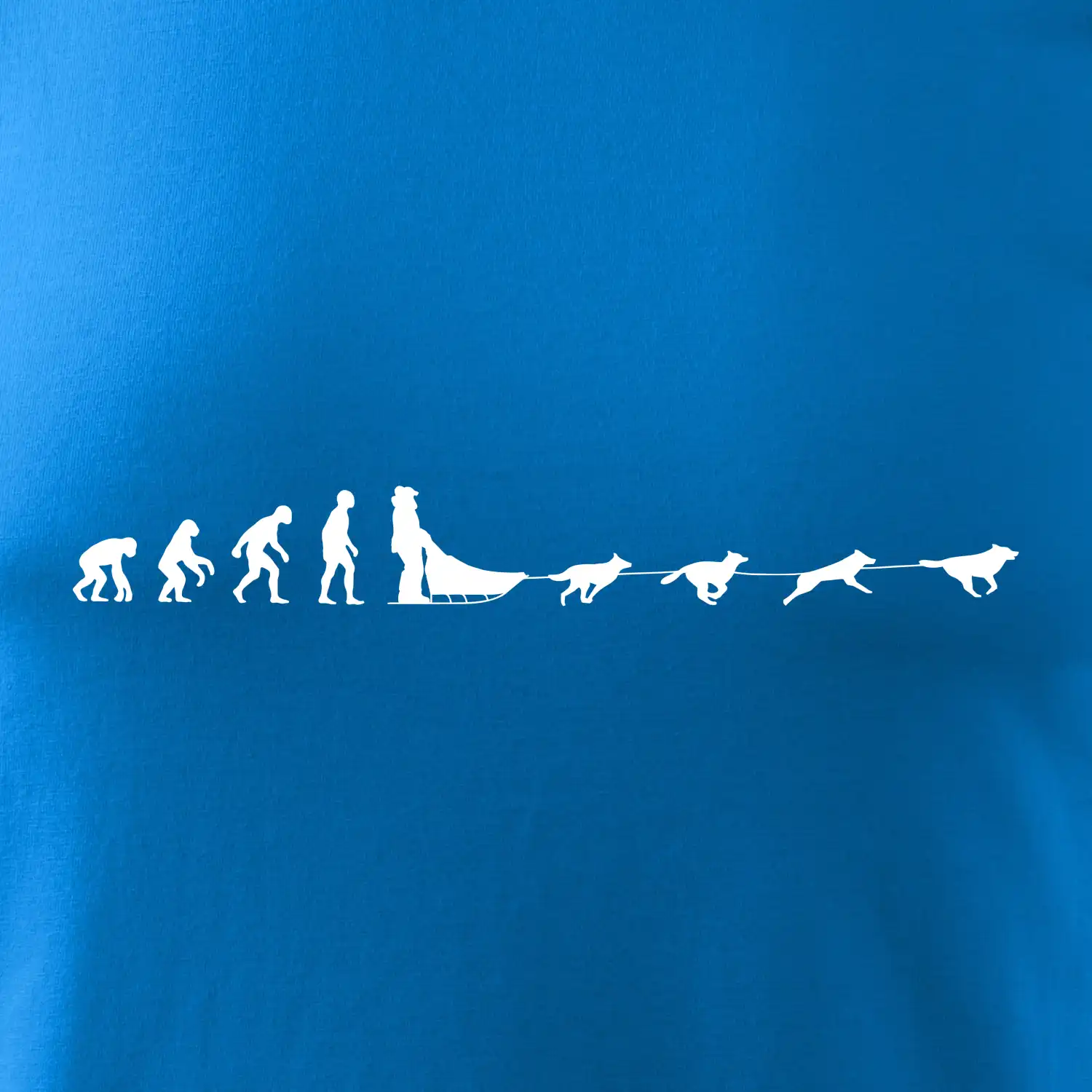 Evoluce psí spřežení