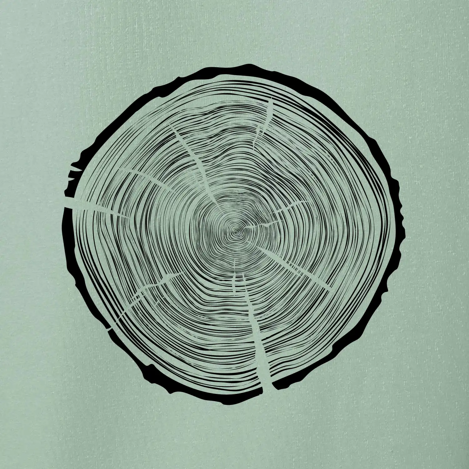 Letokruhy 95 bez věku