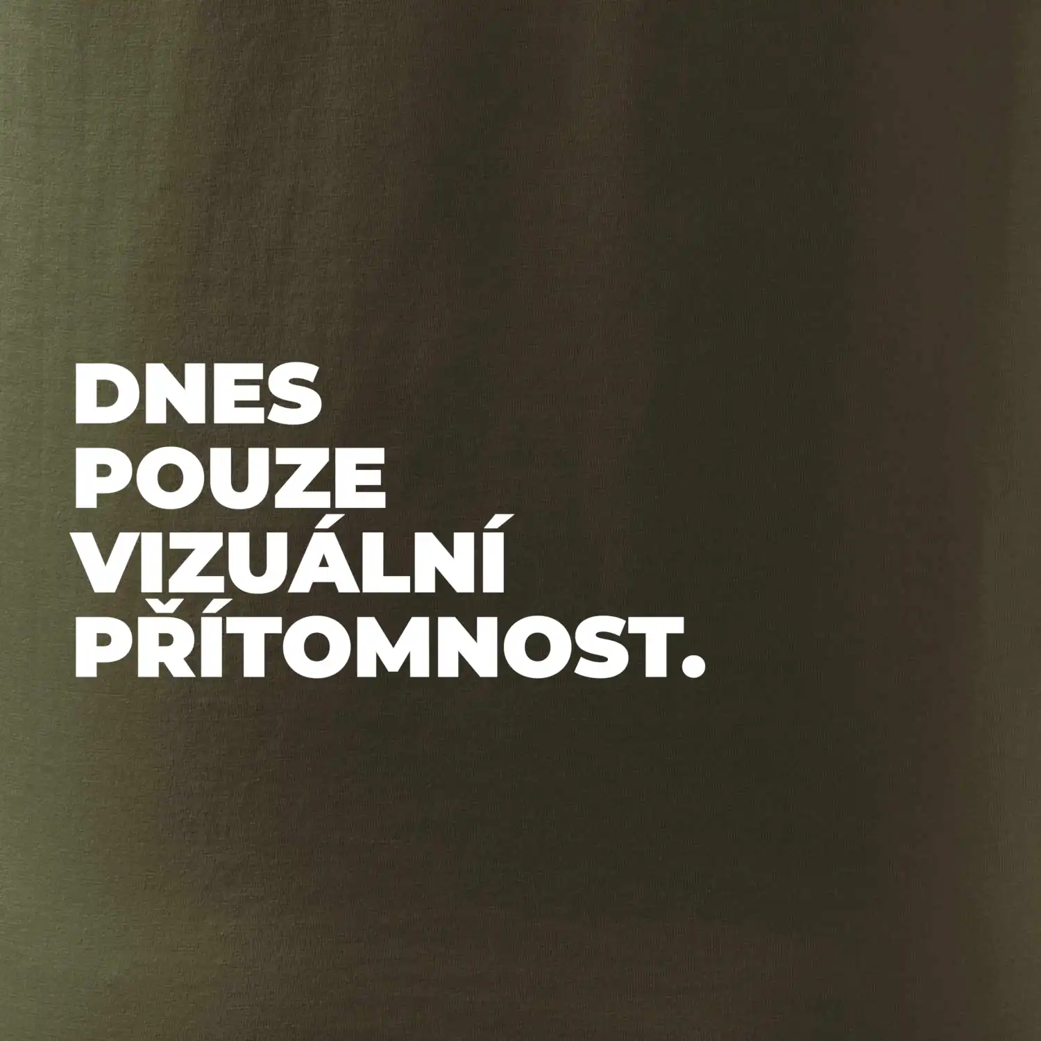 DNES POUZE VIZUÁLNÍ PŘÍTOMNOST.