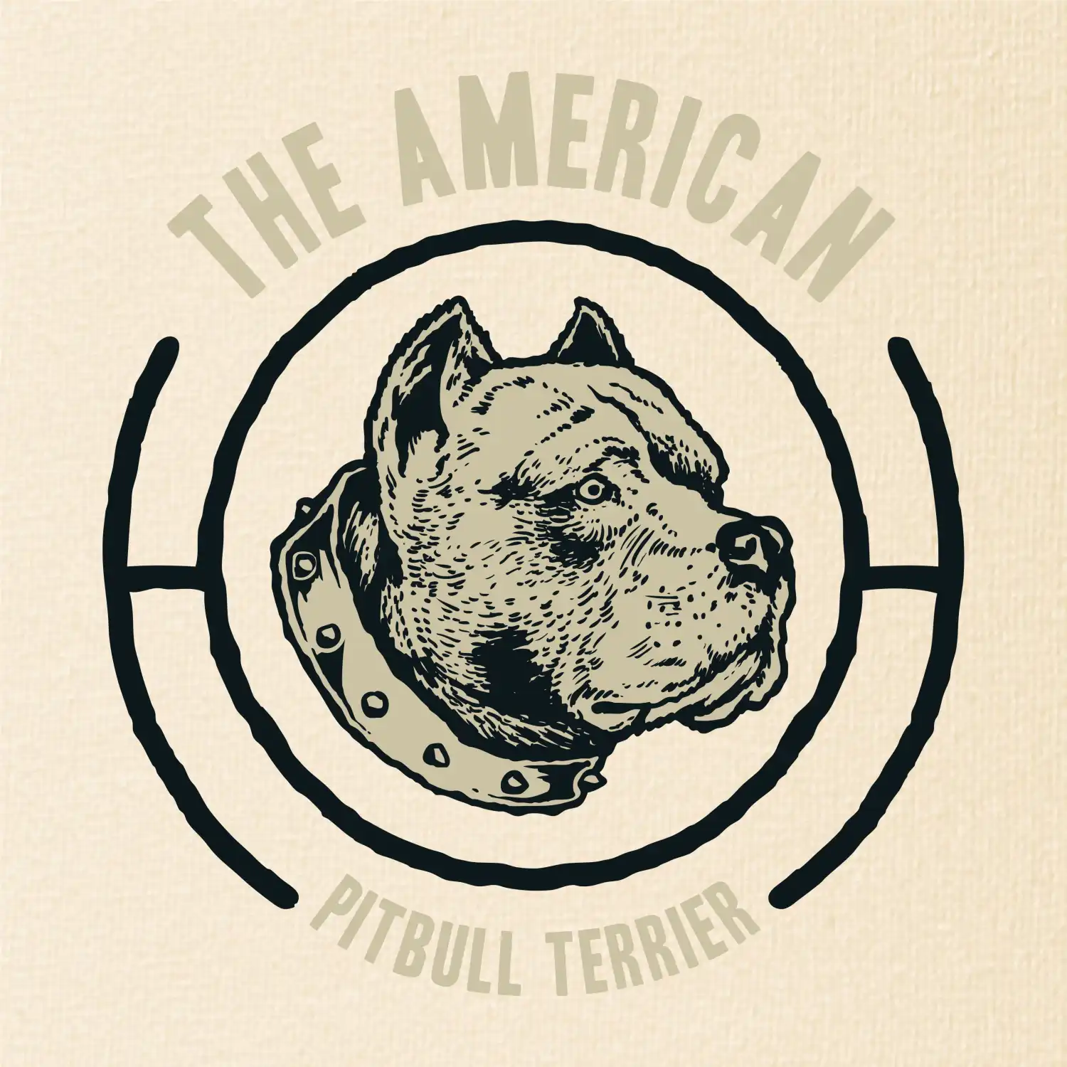 Americký pitbull terier hlava