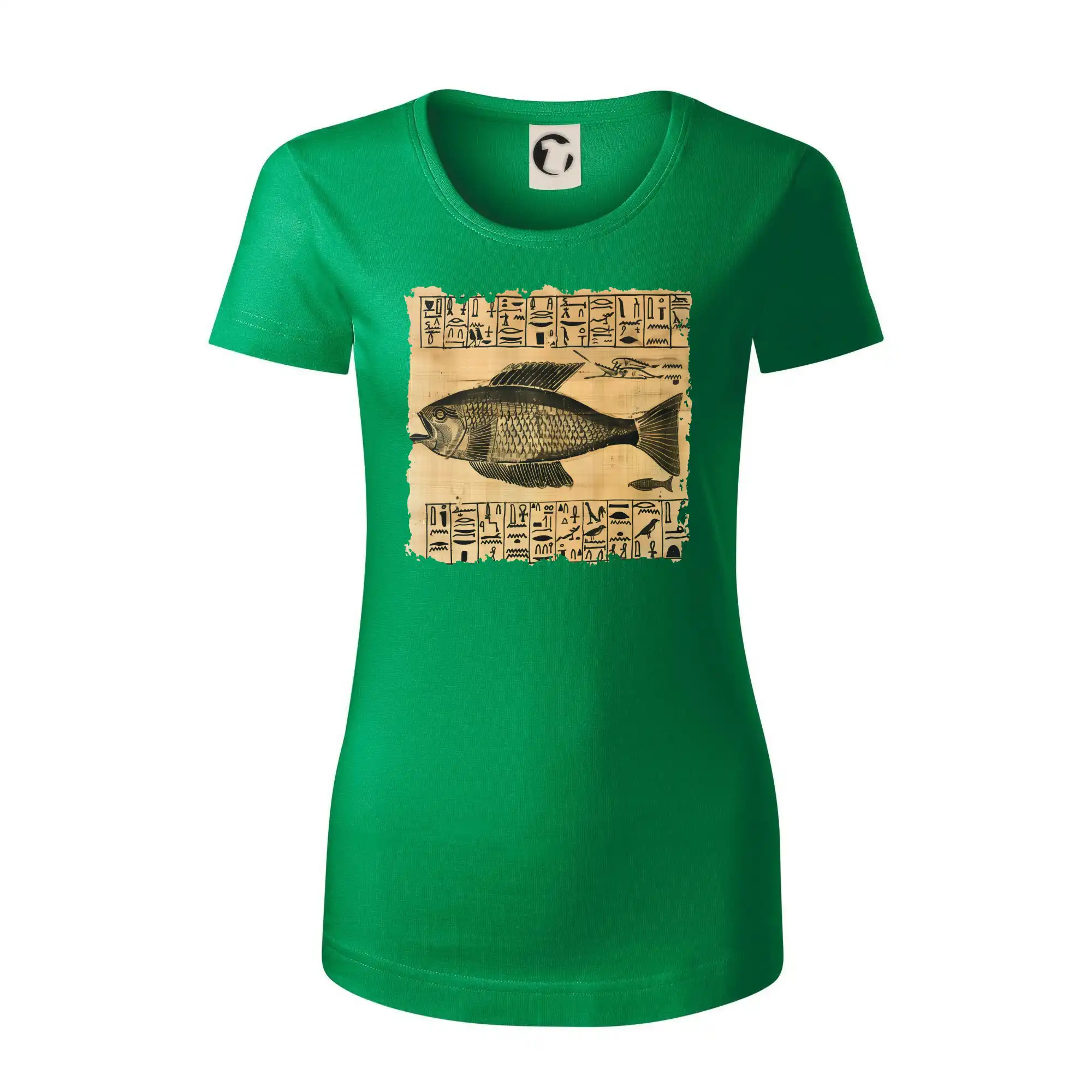 Egyptské hieroglyfy ryba