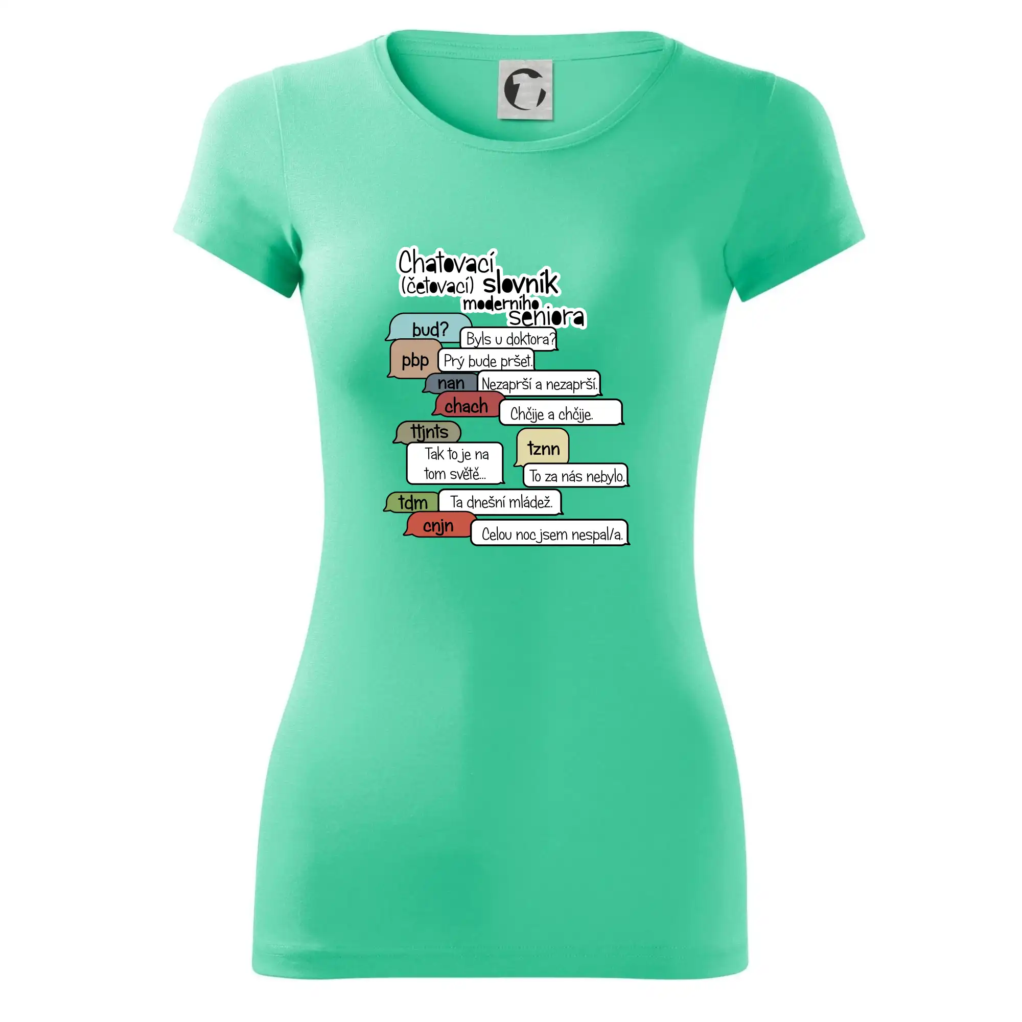 Chatovací slovník moderního seniora (Běžící češtinář)