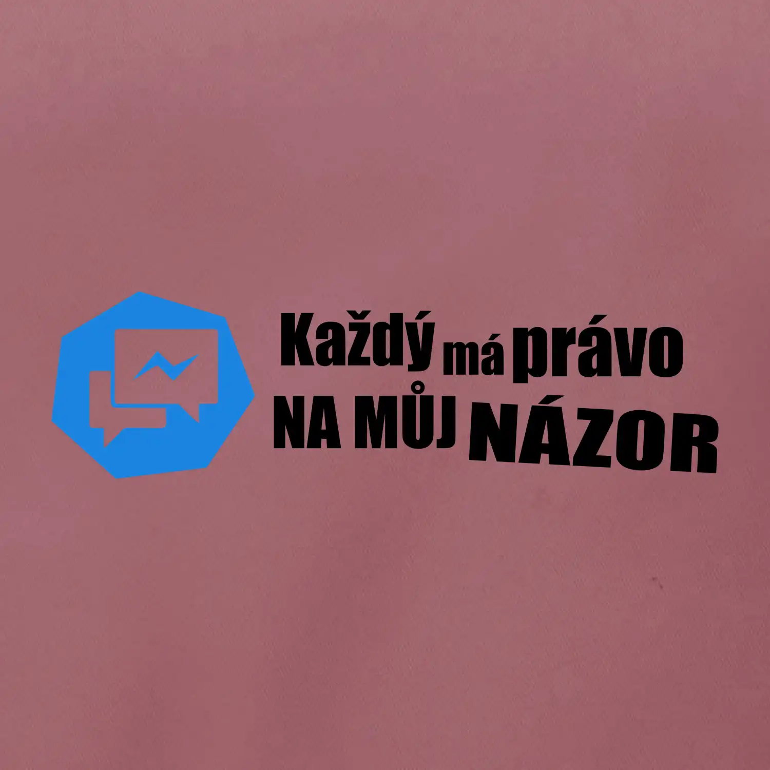 Každý má právo na můj názor