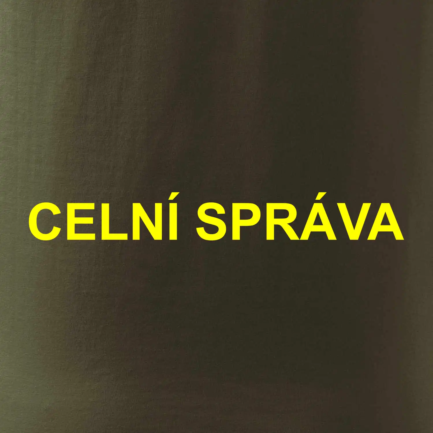Celní správa