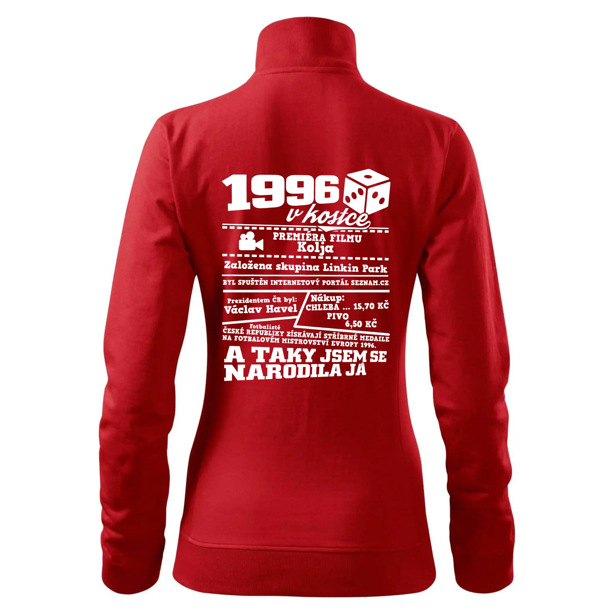 1996 v kostce