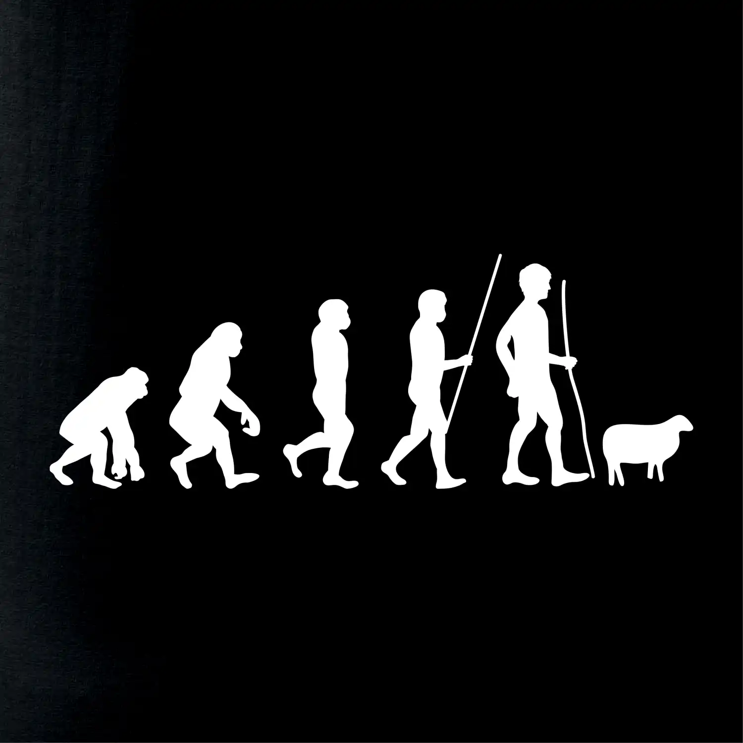 Evoluce pastevec ovcí