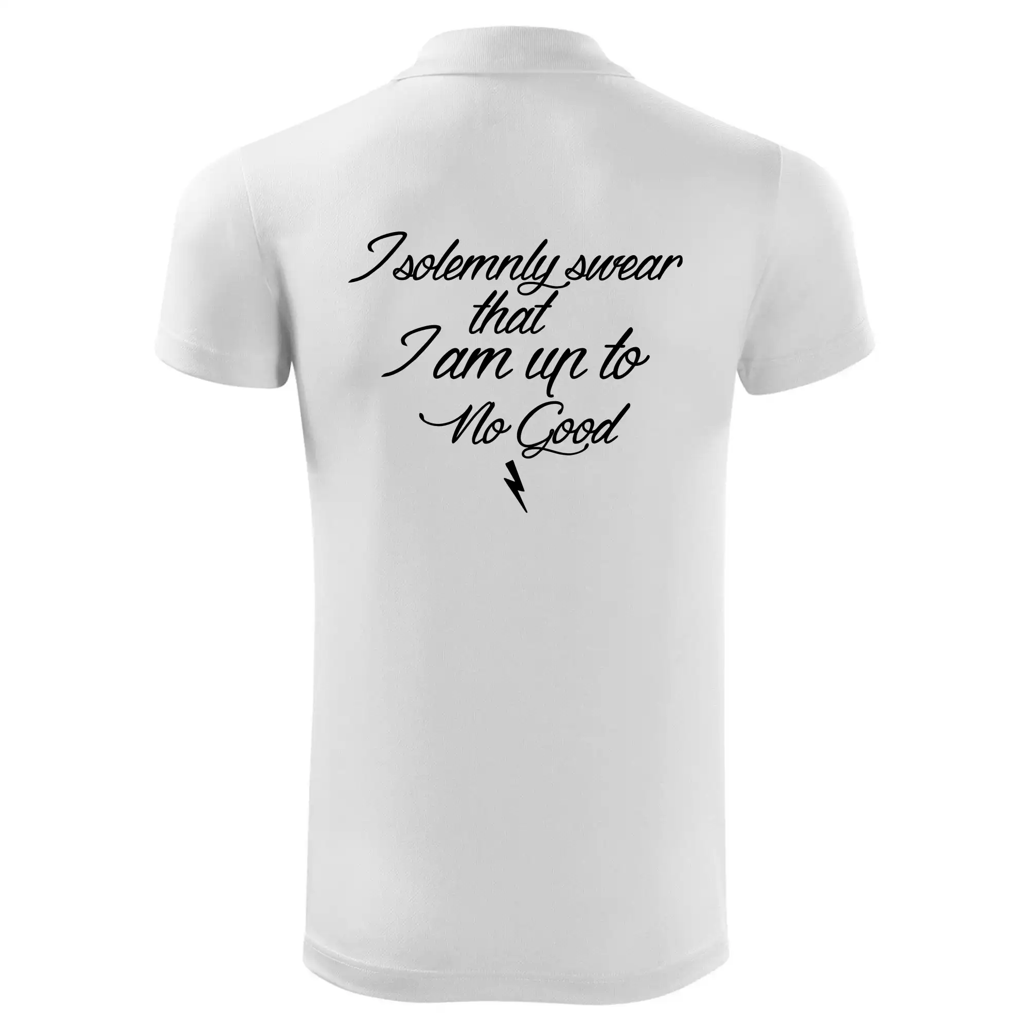I solemnly swear that I'm up to no good