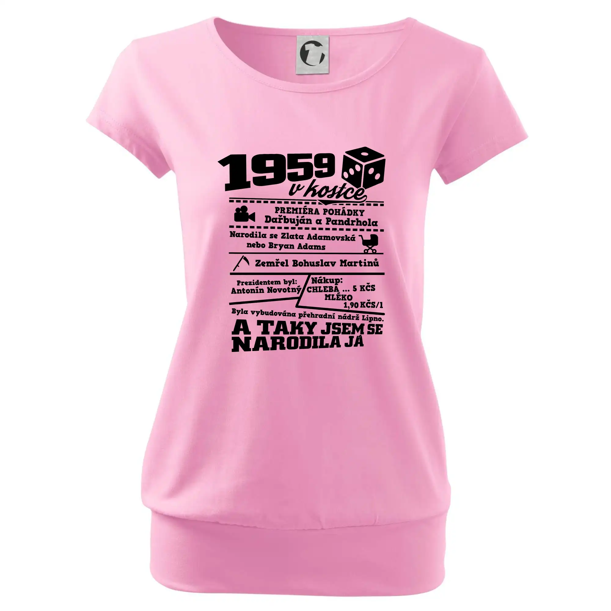 1959 v kostce
