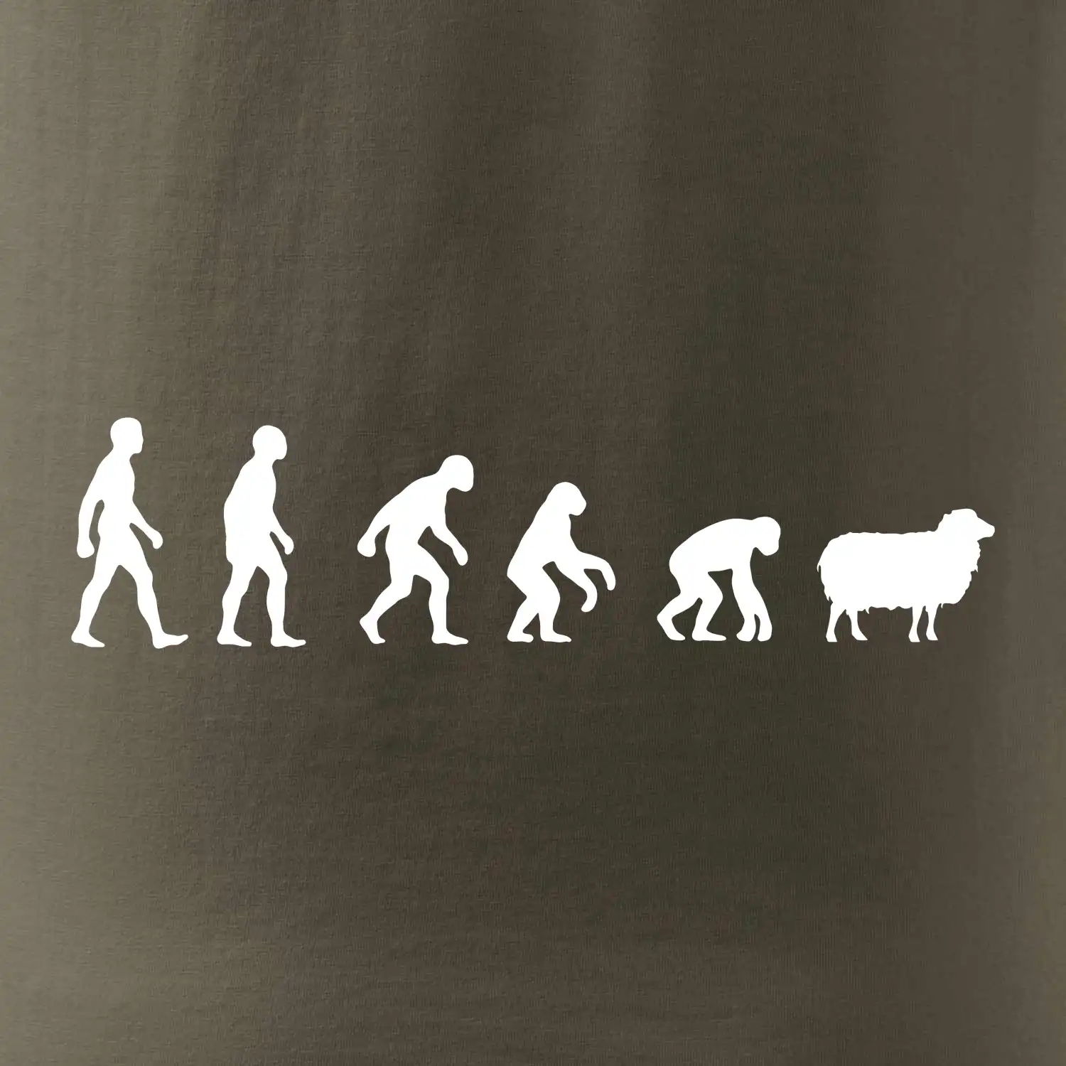 Evoluce ovce
