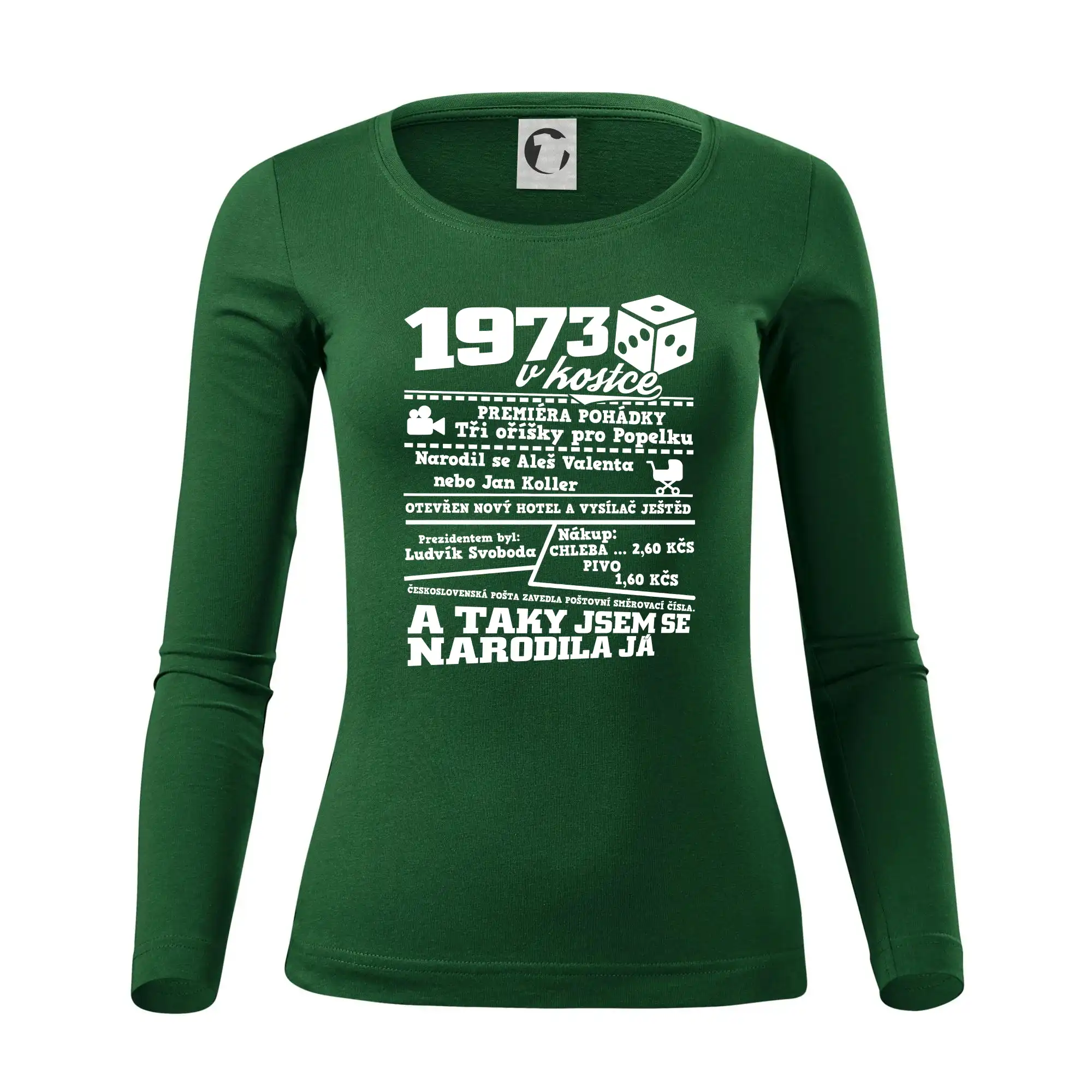 1973 v kostce