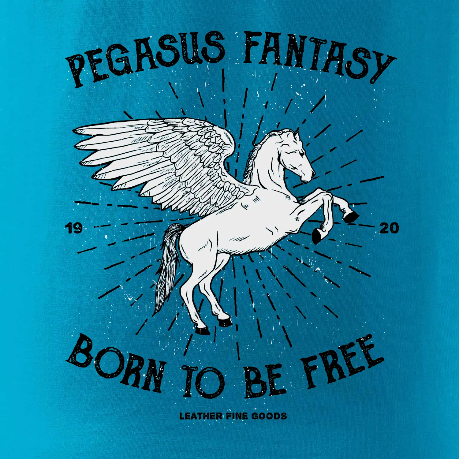 Pegasus fantasy