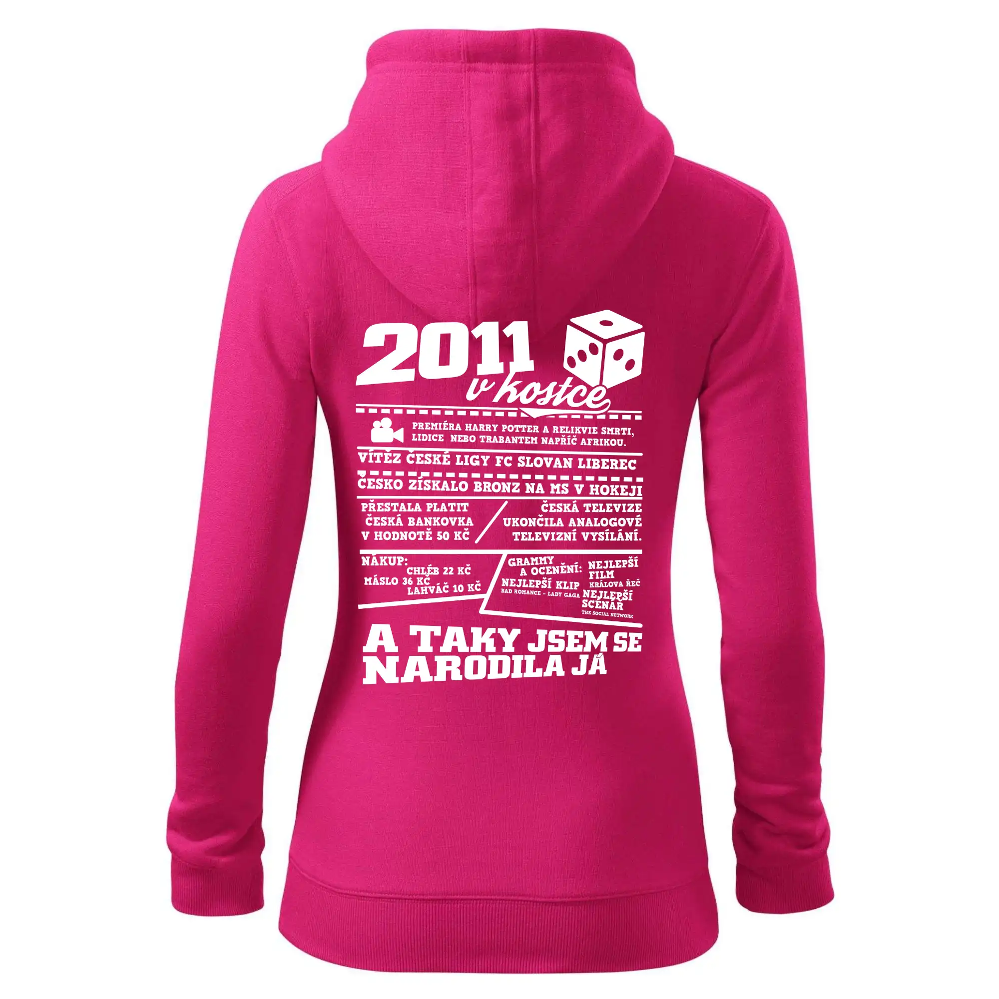2011 v kostce