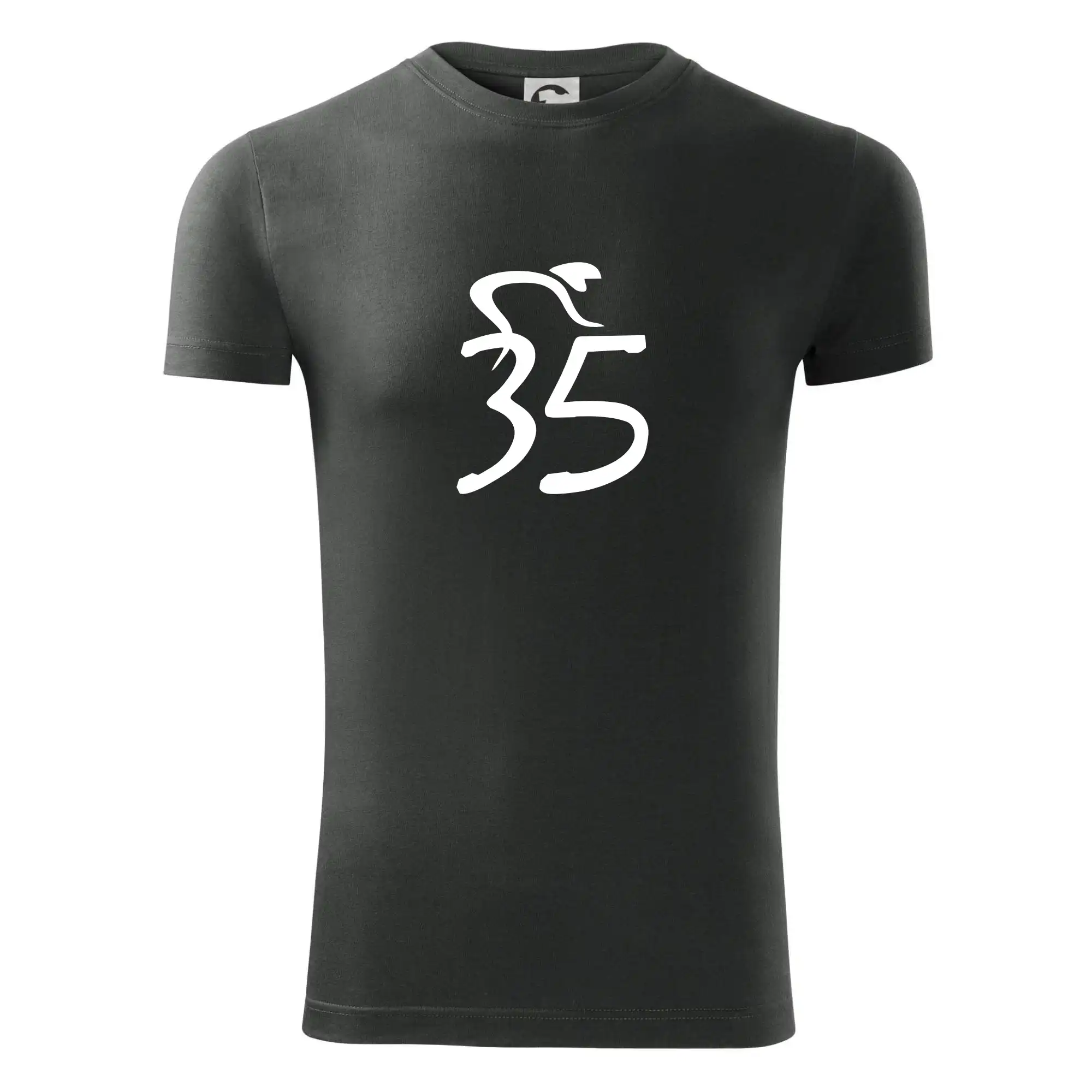 Cyklista slaví pětatřicítku (35)