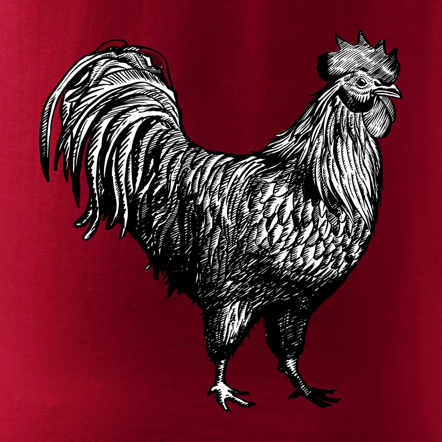 Kohout kreslený černobílý