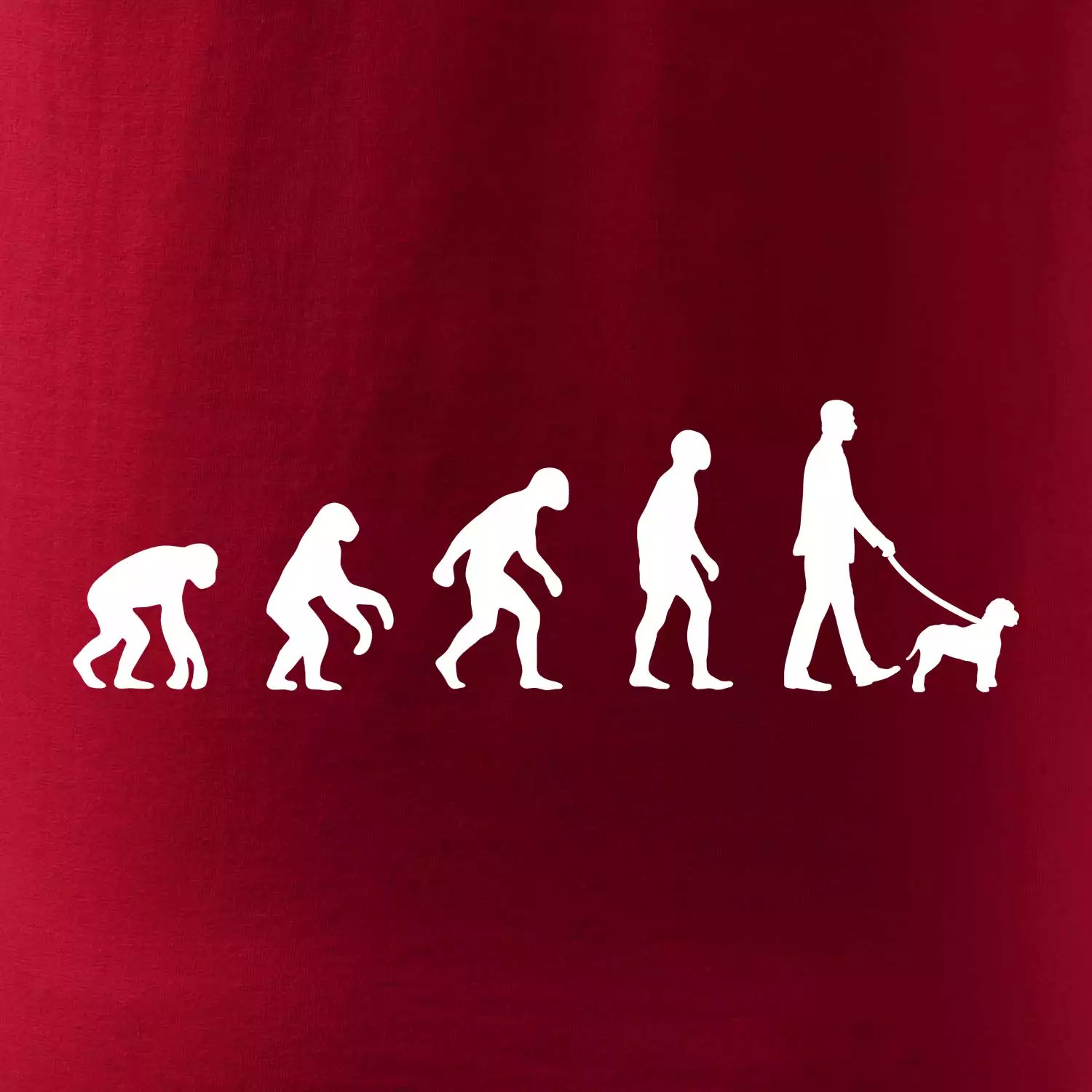 Lagotto romagnolo Evoluce