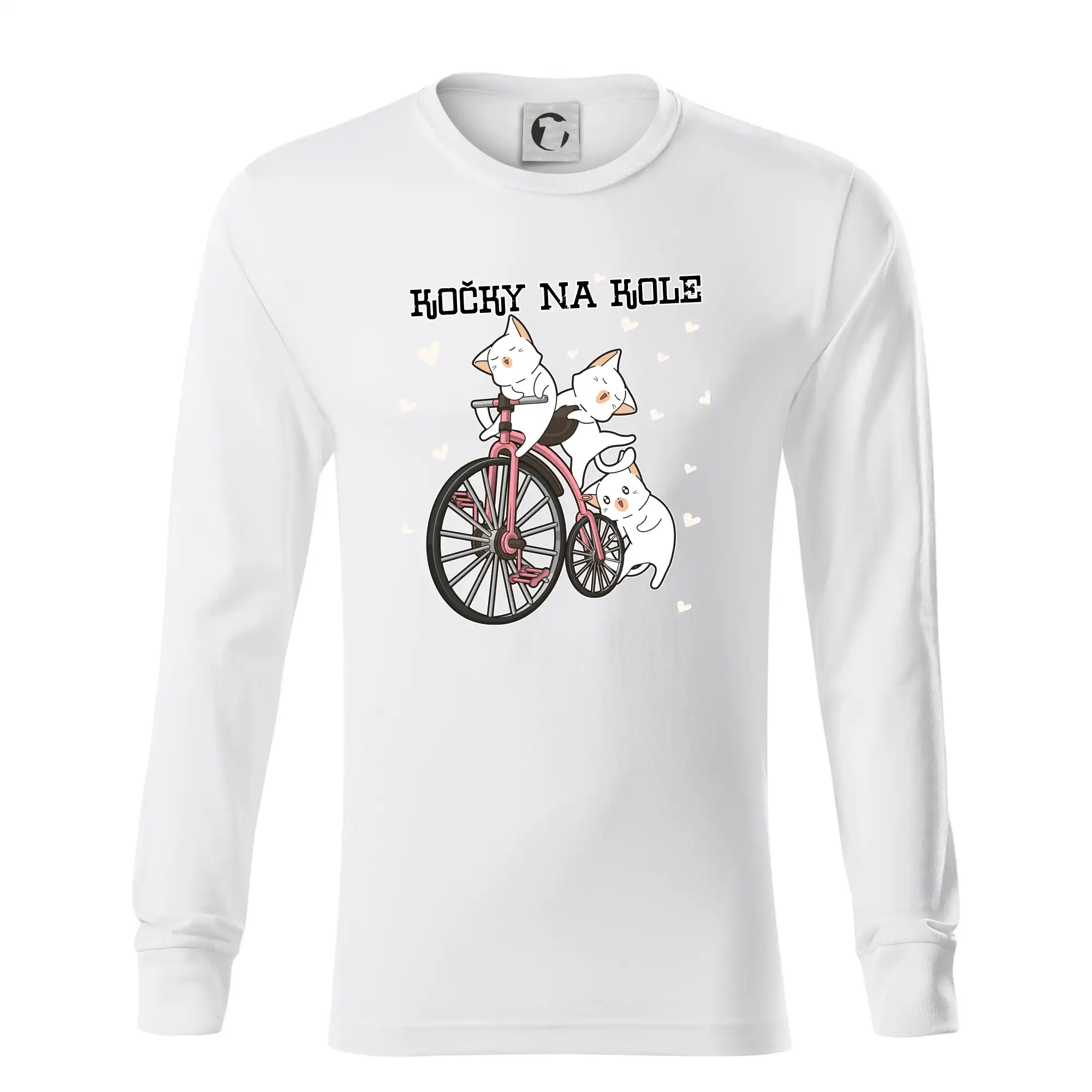 Kočky na kole