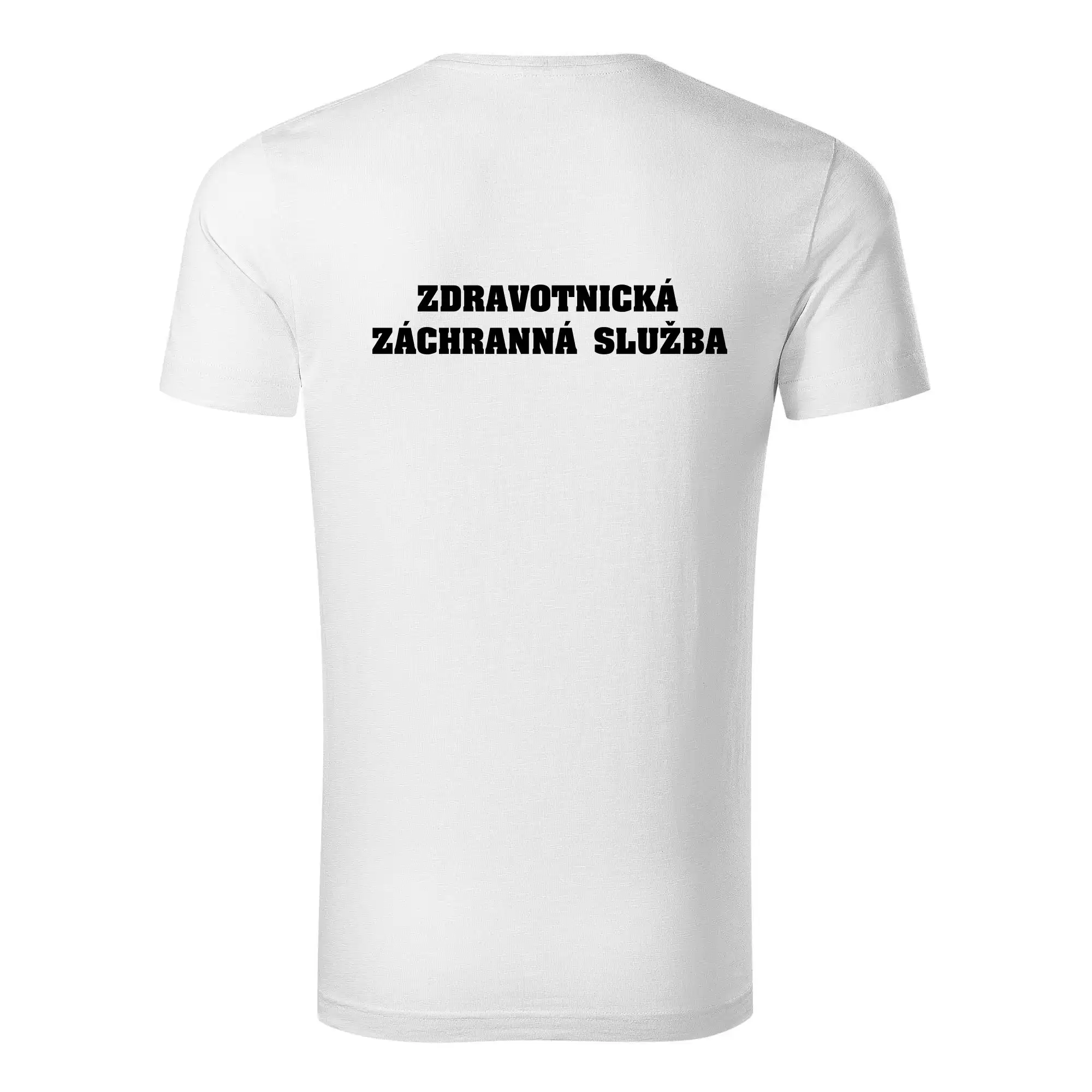 Hvězda života - zdravotnická záchranná služba