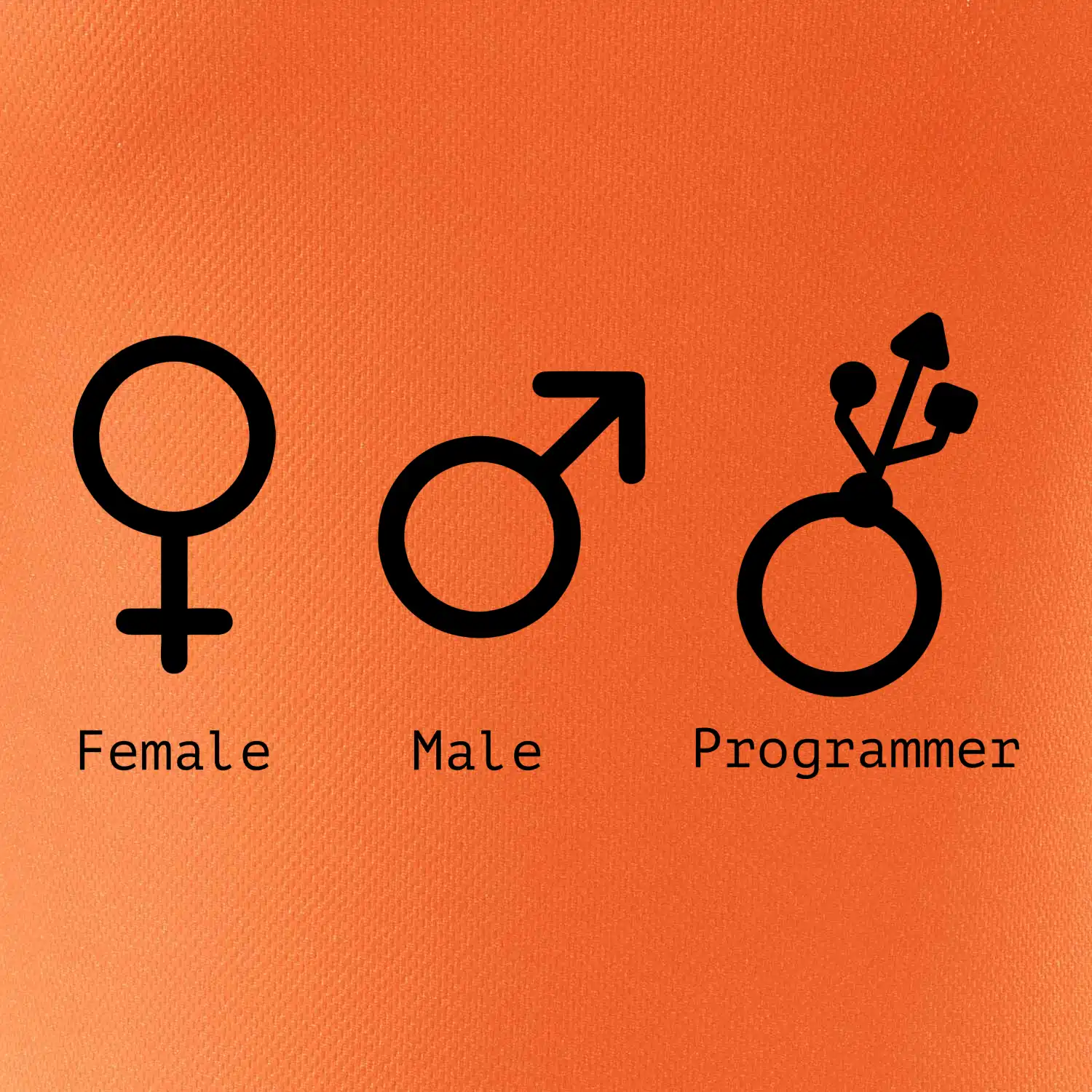 Female male programmer