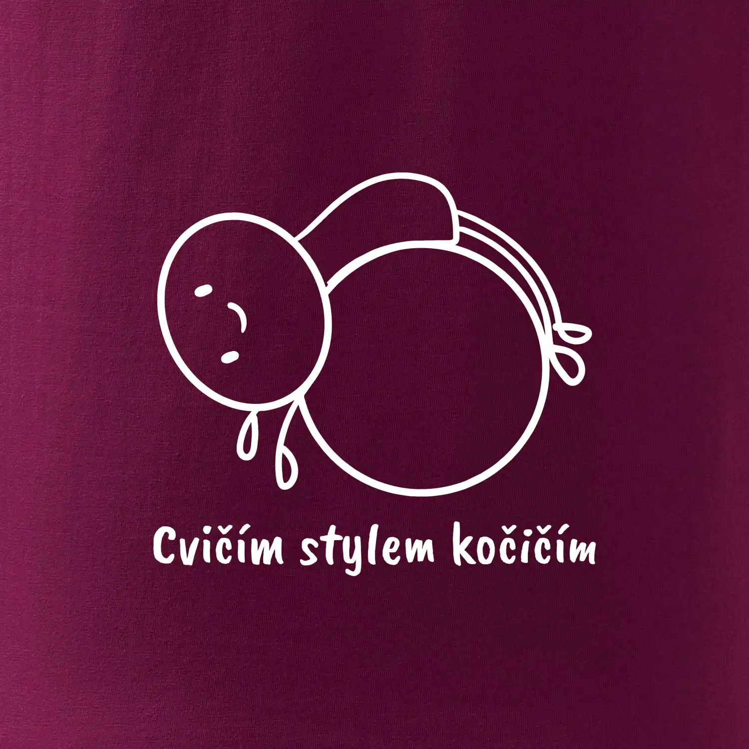 Cvičím stylem kočičím