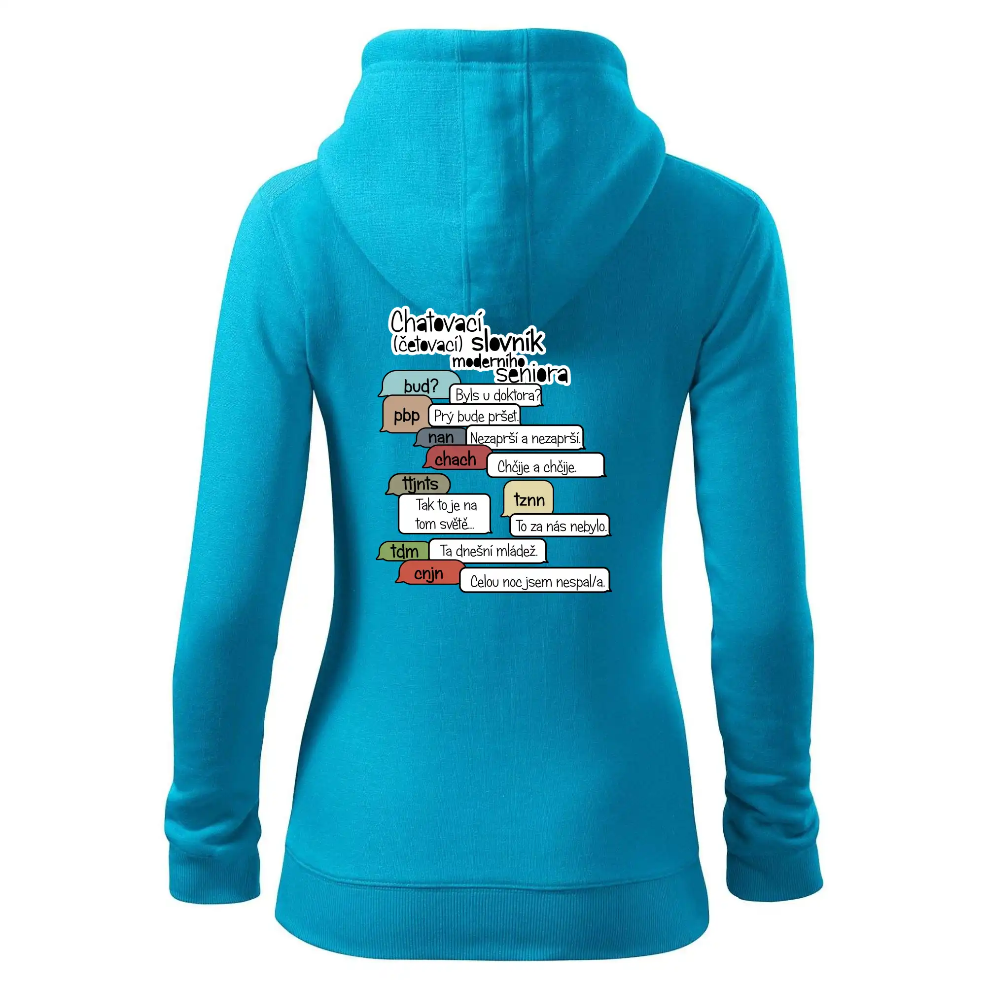 Chatovací slovník moderního seniora (Běžící češtinář)