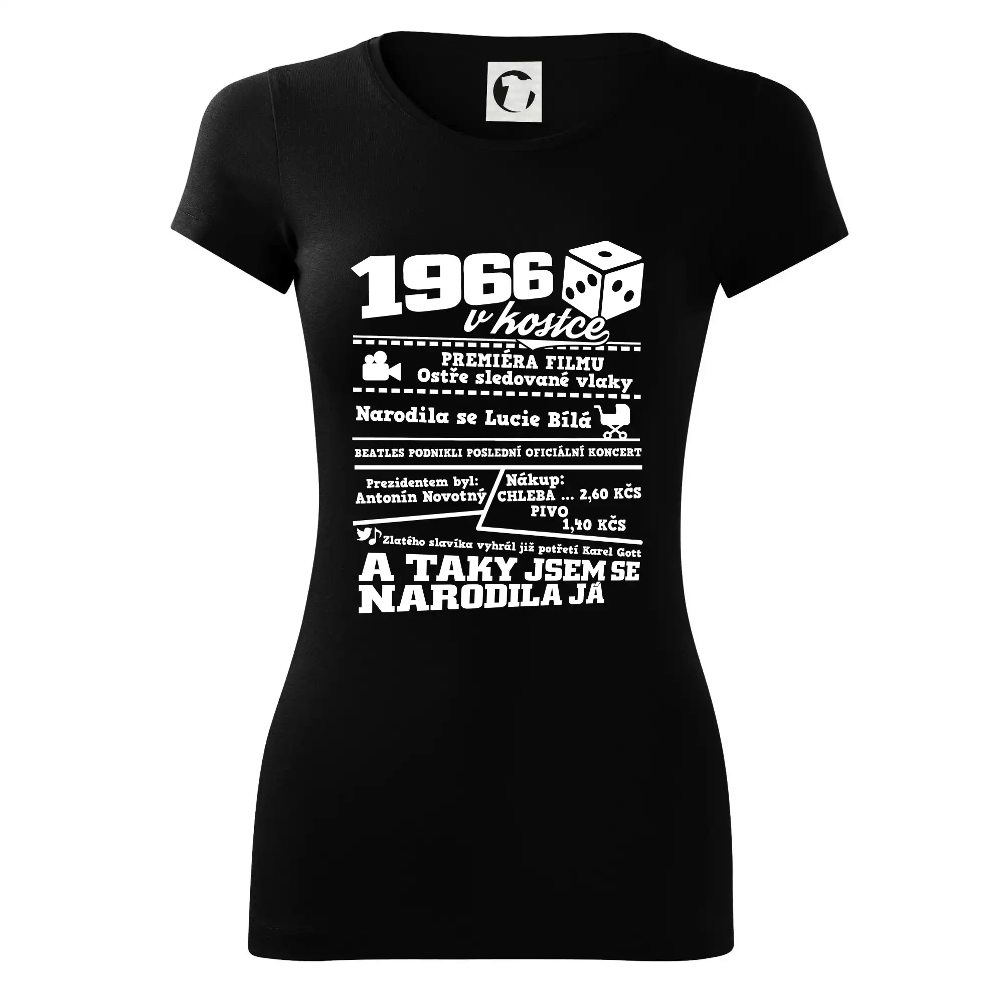 1966 v kostce