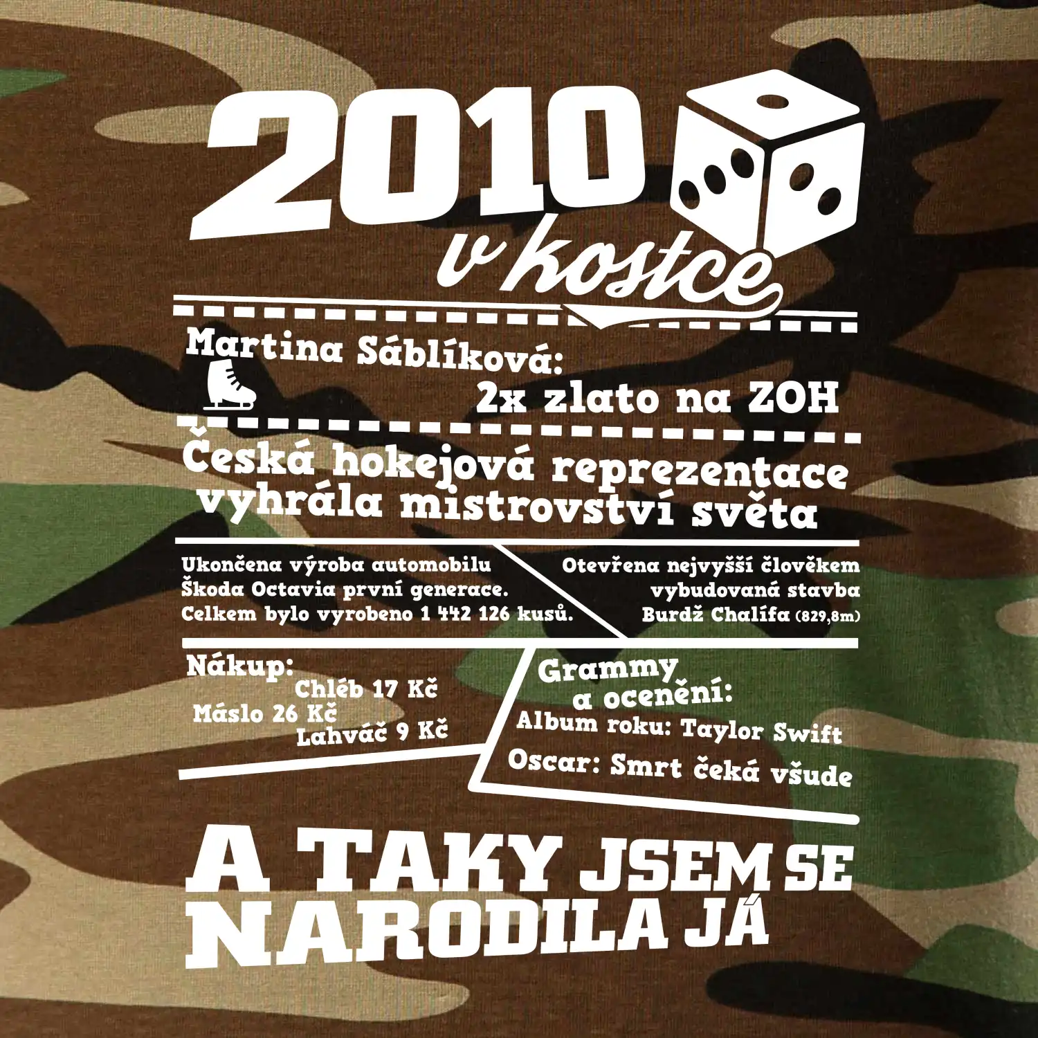 2010 v kostce