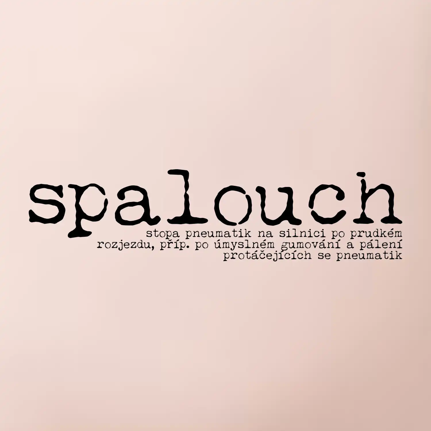 Čeština 2.0 - spalouch