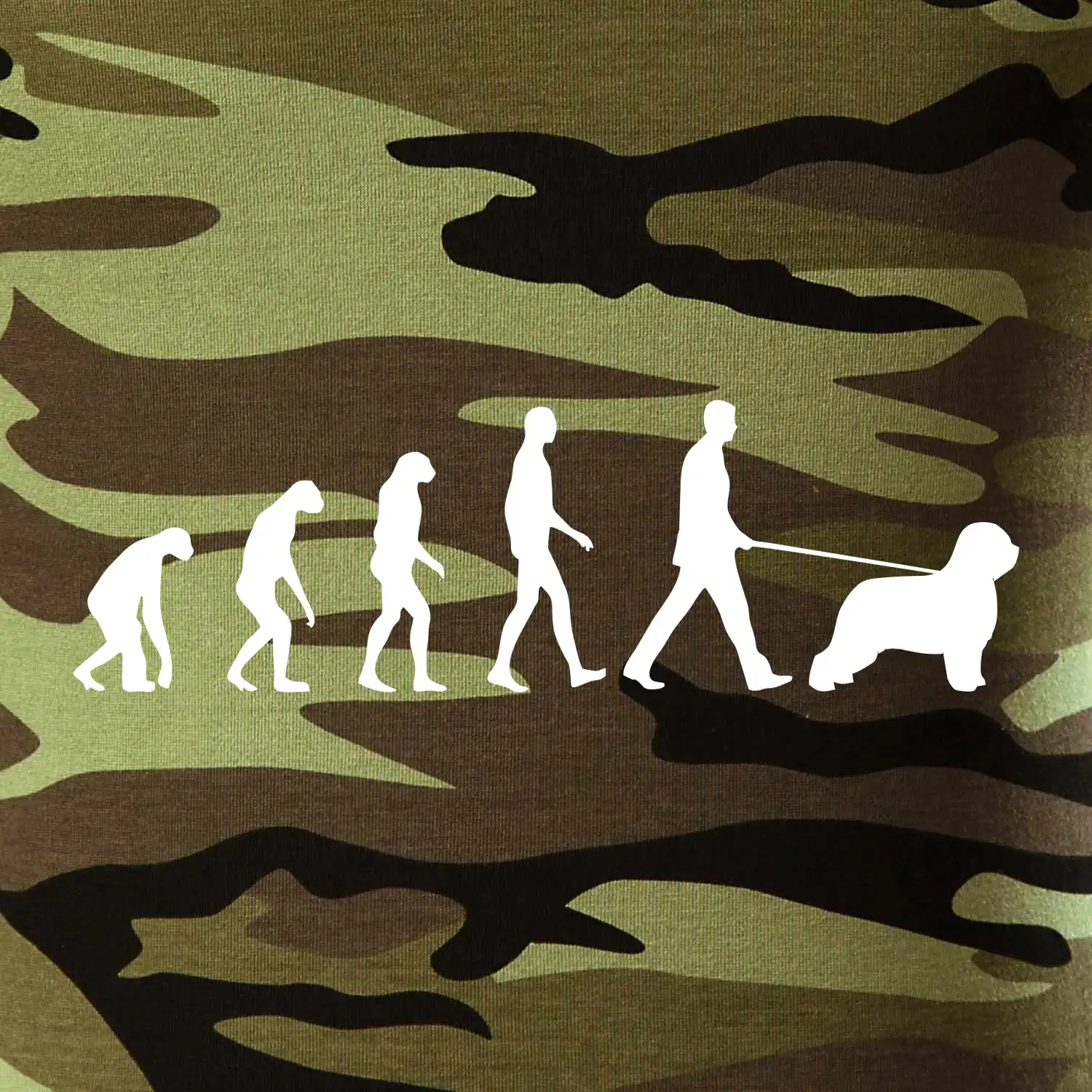 Evoluce pes Briard