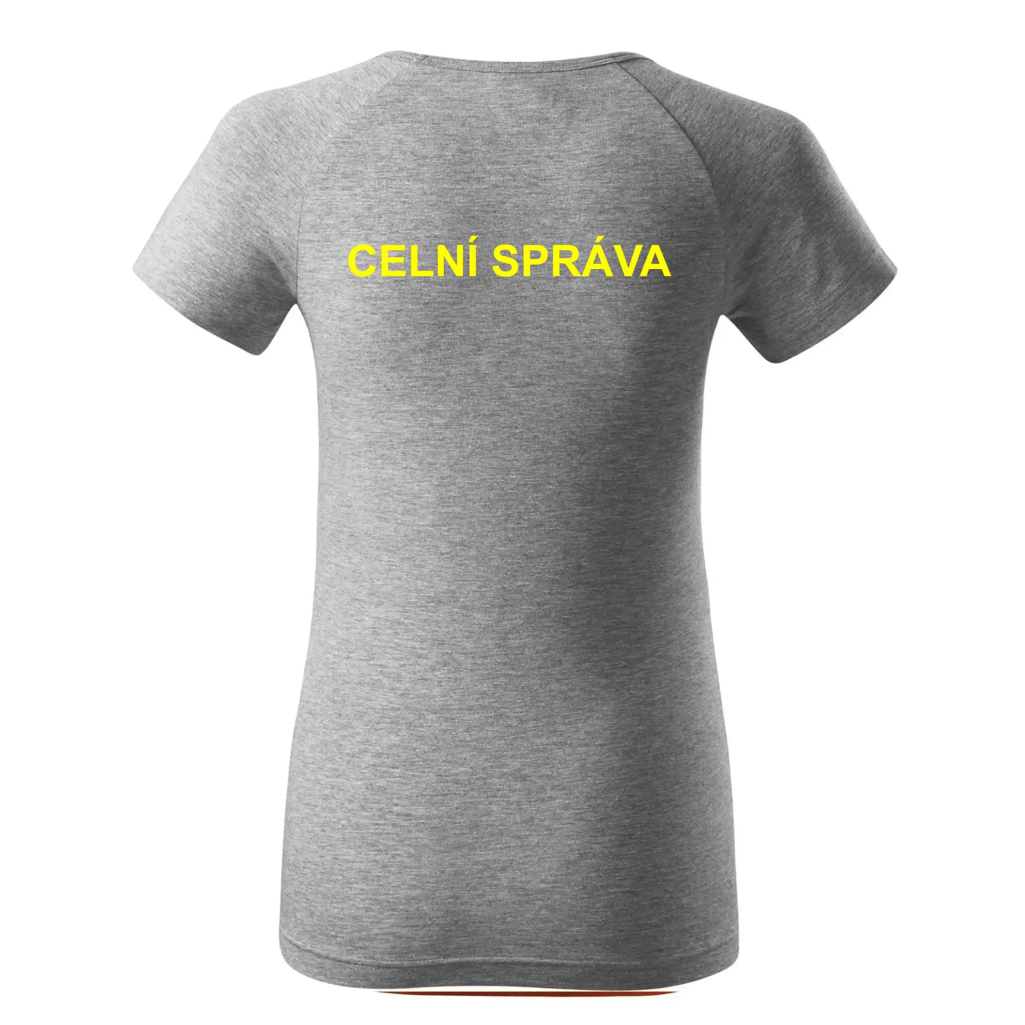 Celní správa