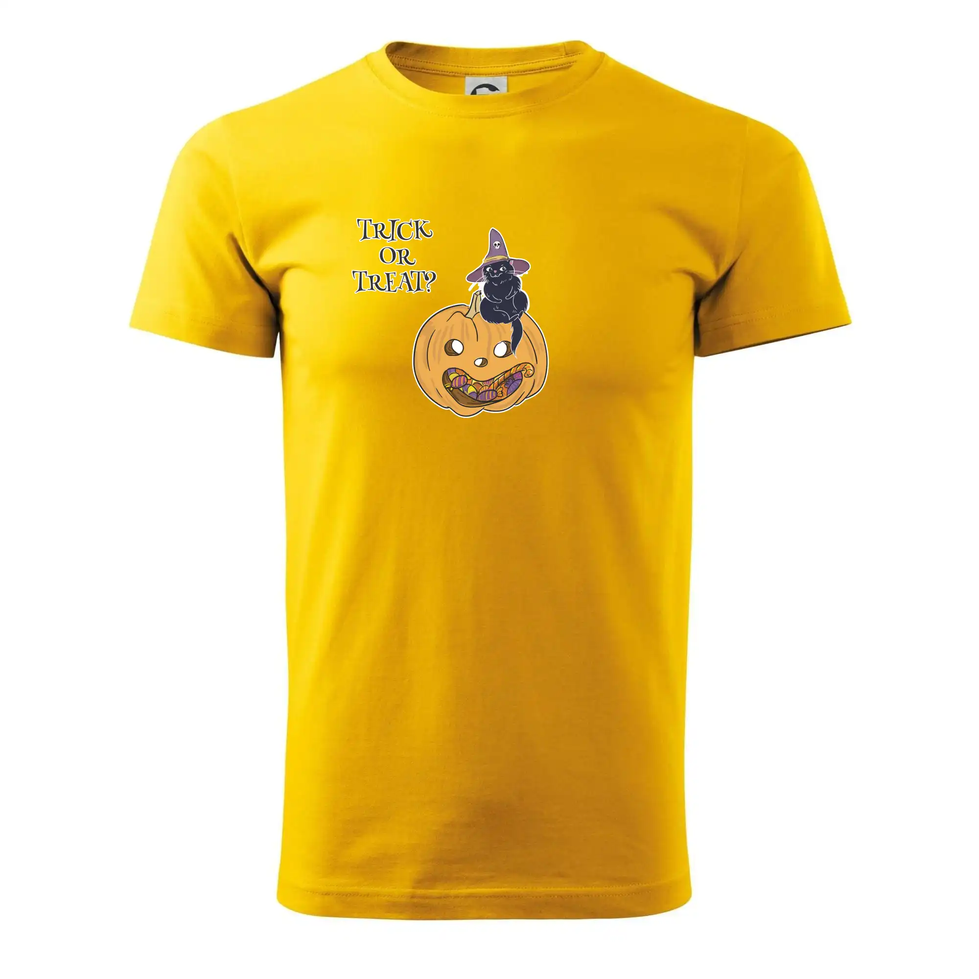 Dýně a kočka