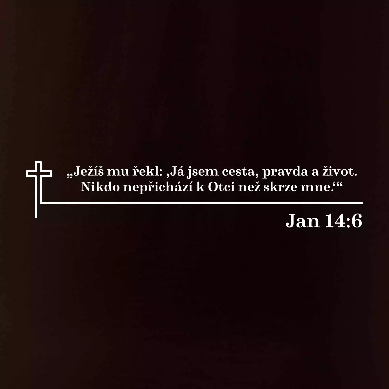 Citáty z bible - Jan 14:6