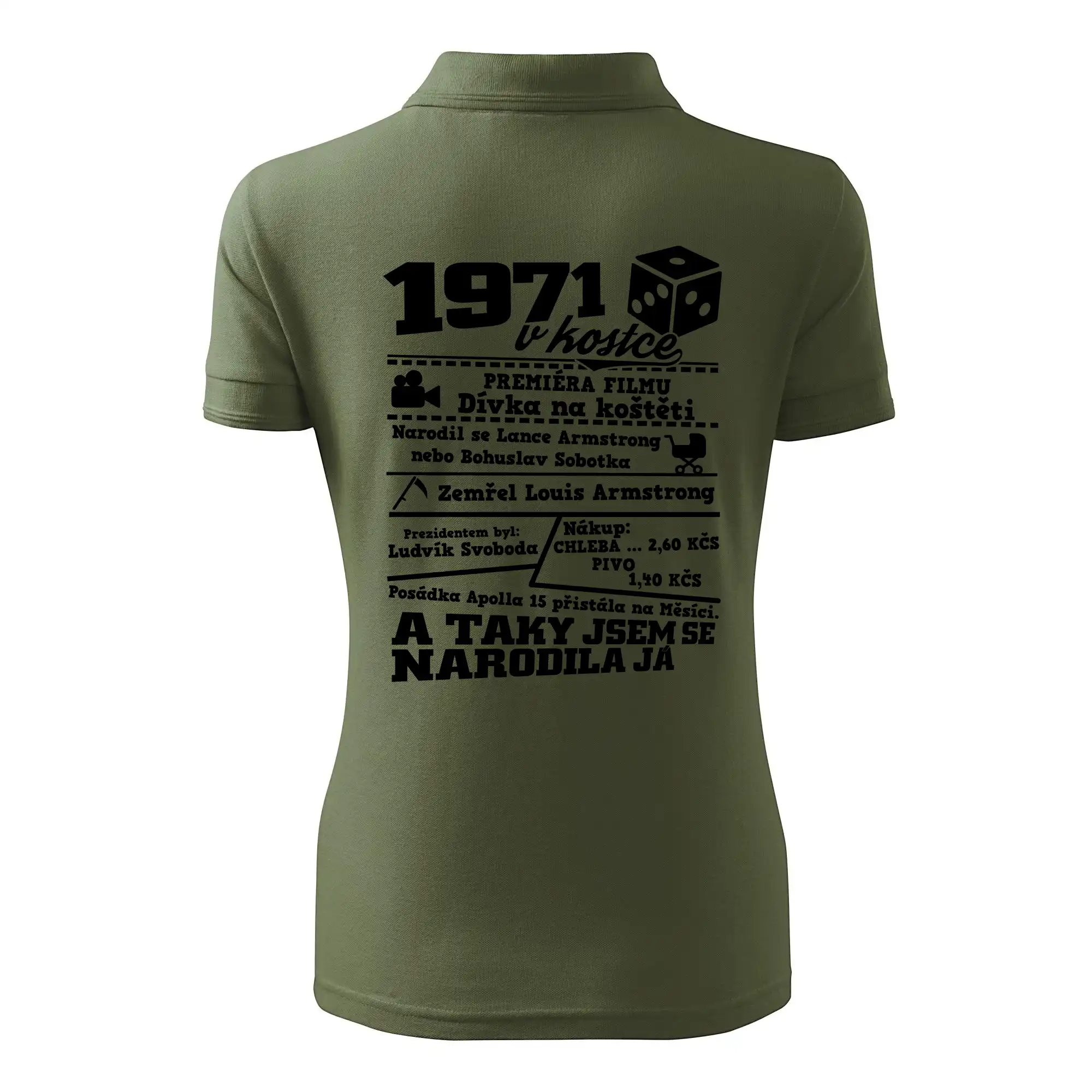 1971 v kostce