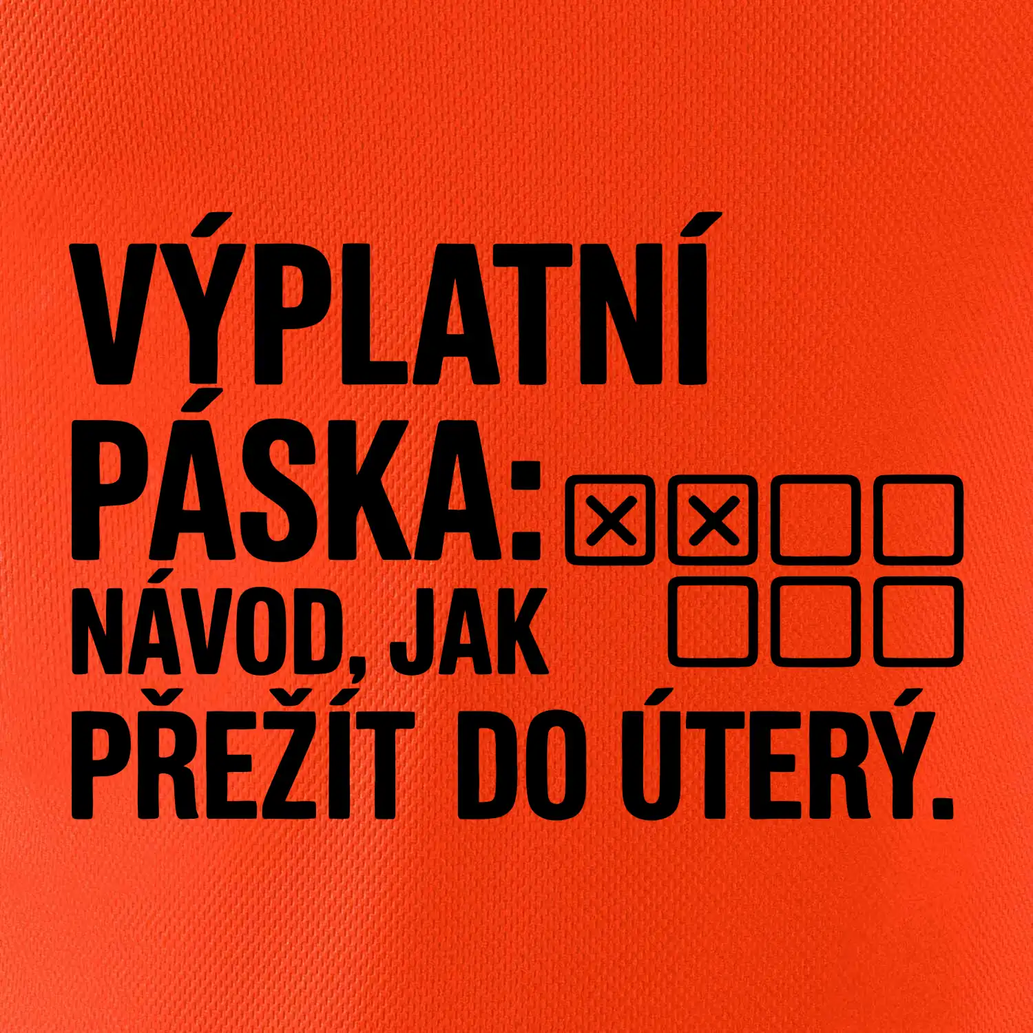 VÝPLATNÍ PÁSKA: Návod, jak přežít do úterý