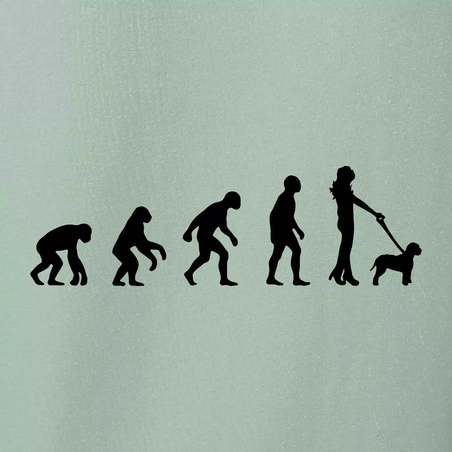 Lagotto romagnolo Evoluce