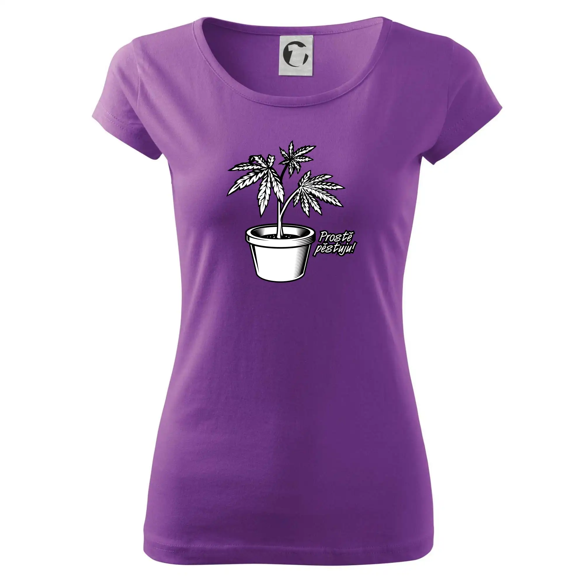 Konopi prostě pěstuju