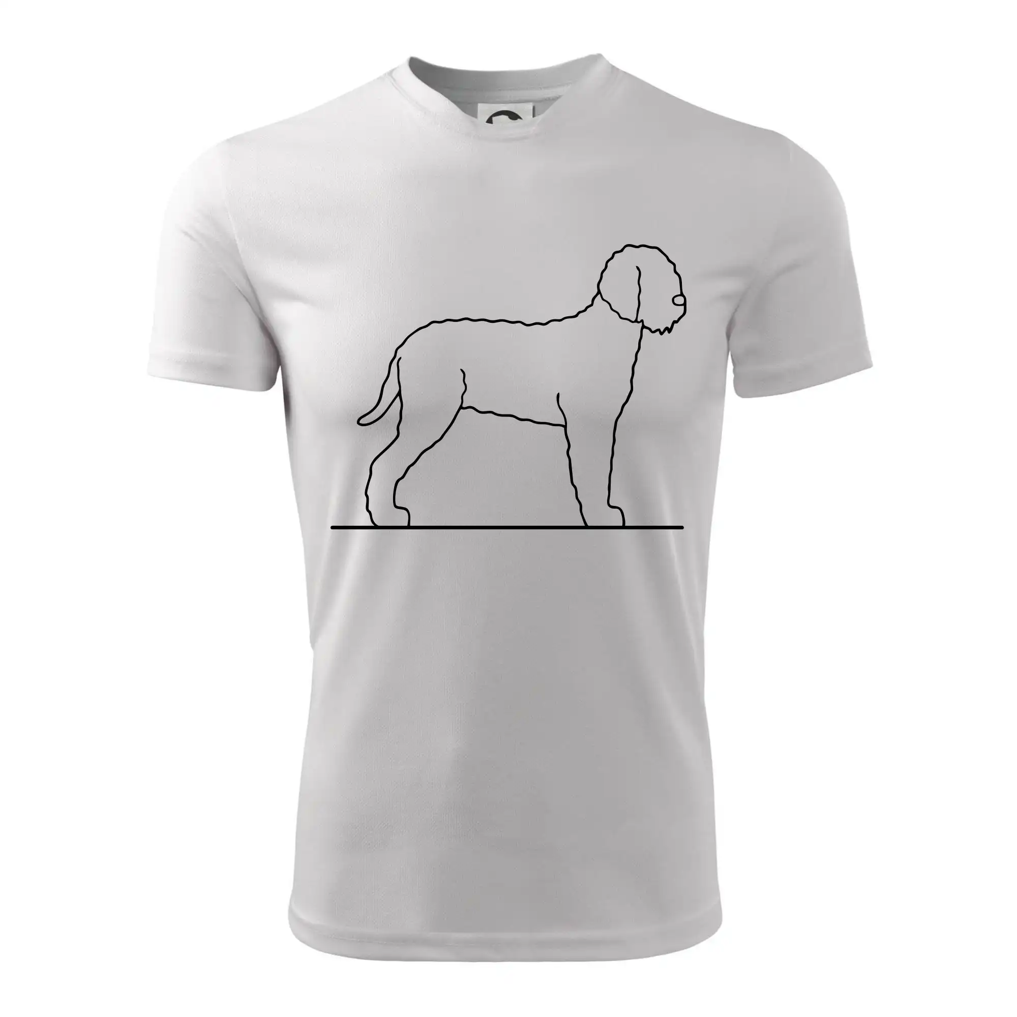 Lagotto romagnolo stojící