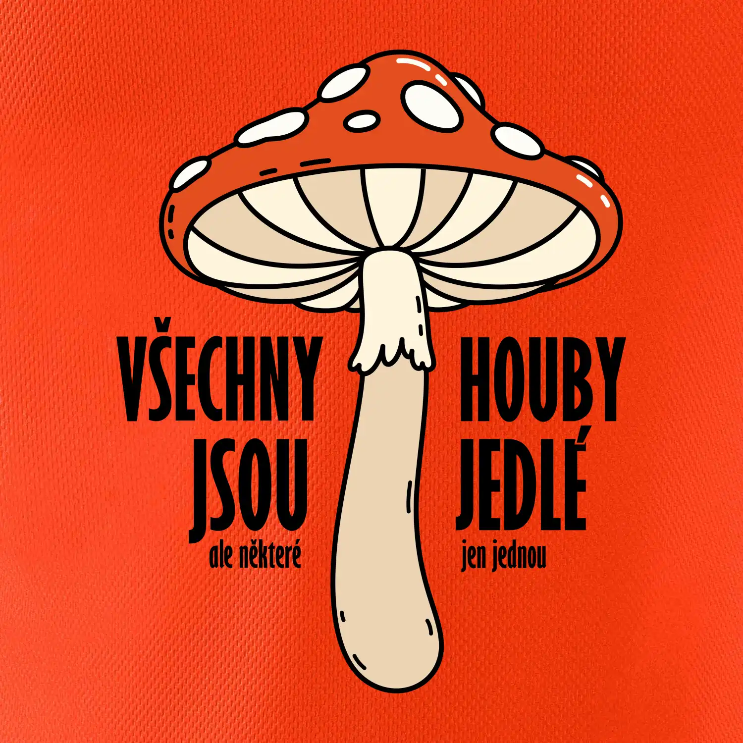 Všechny houby jsou jedlé