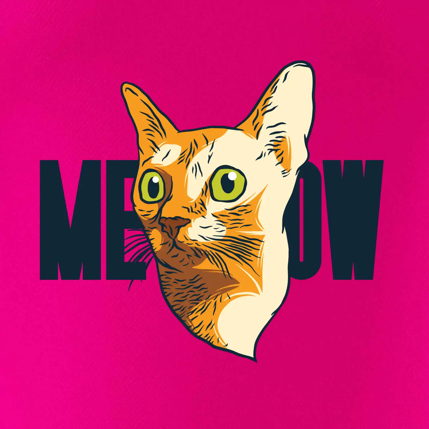 Kočka meow
