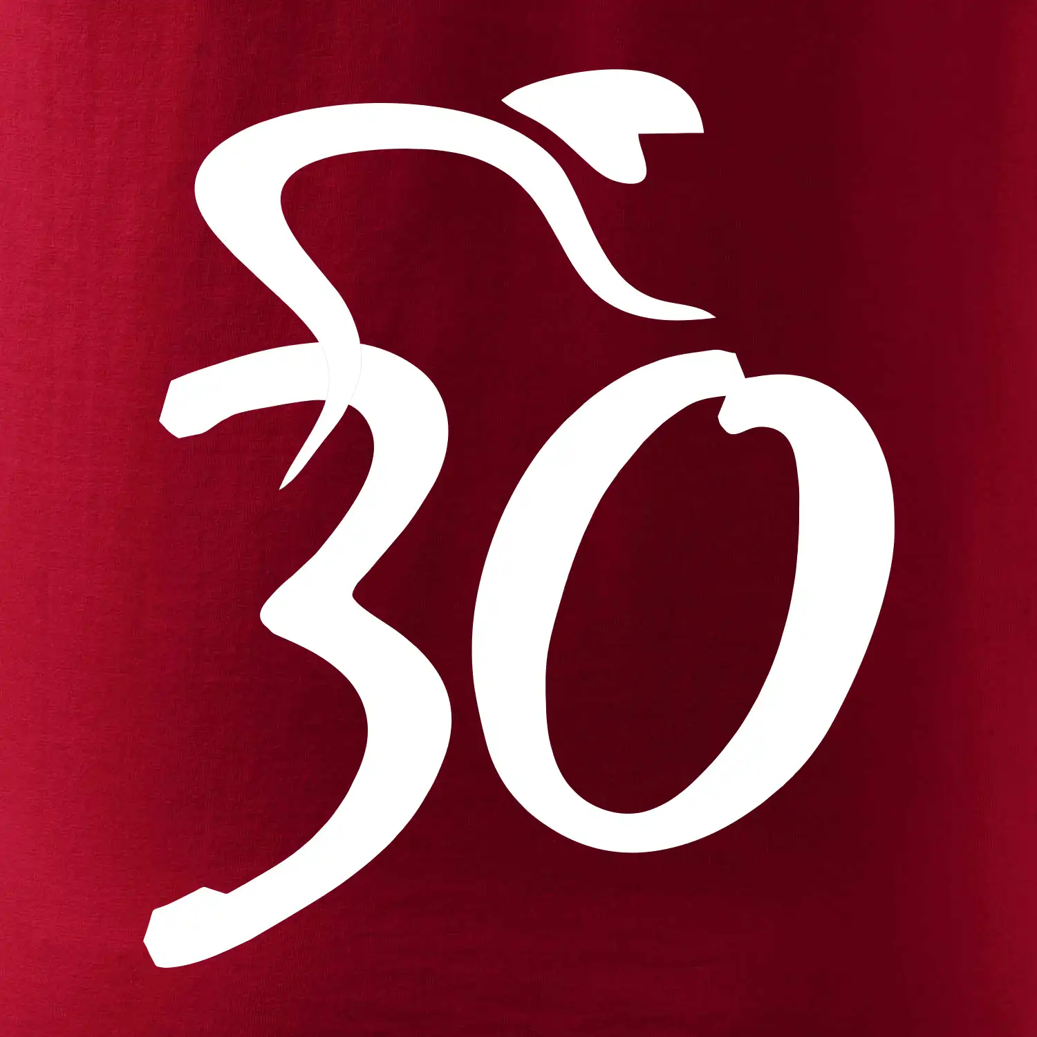 Cyklista slaví třicítku (30)