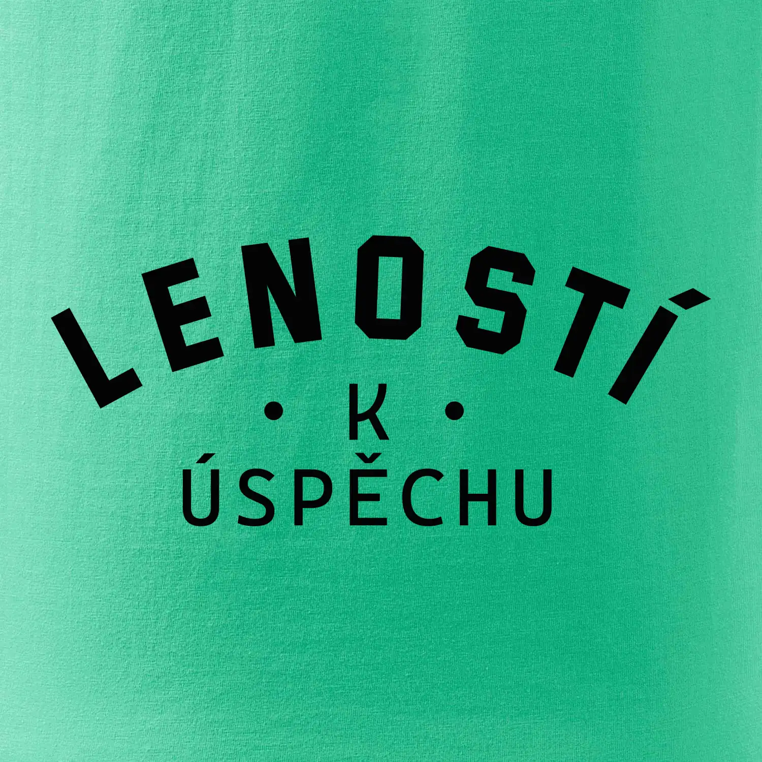 Leností k úspěchu - tiskací